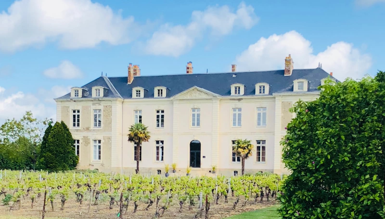 Espace Château vue lac près de Nantes - 4