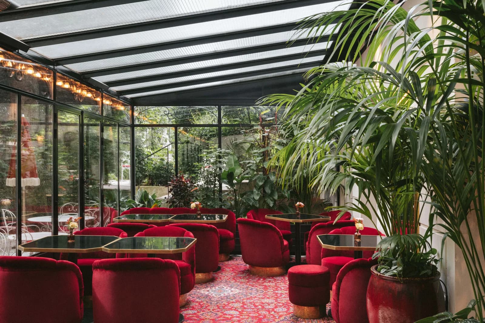 Espace Somptueux refuge végétal, une oasis de tranquillité - 2