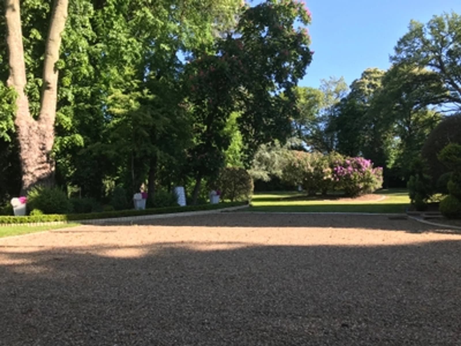 Meeting room in Beautiful house with park for rent - 1
