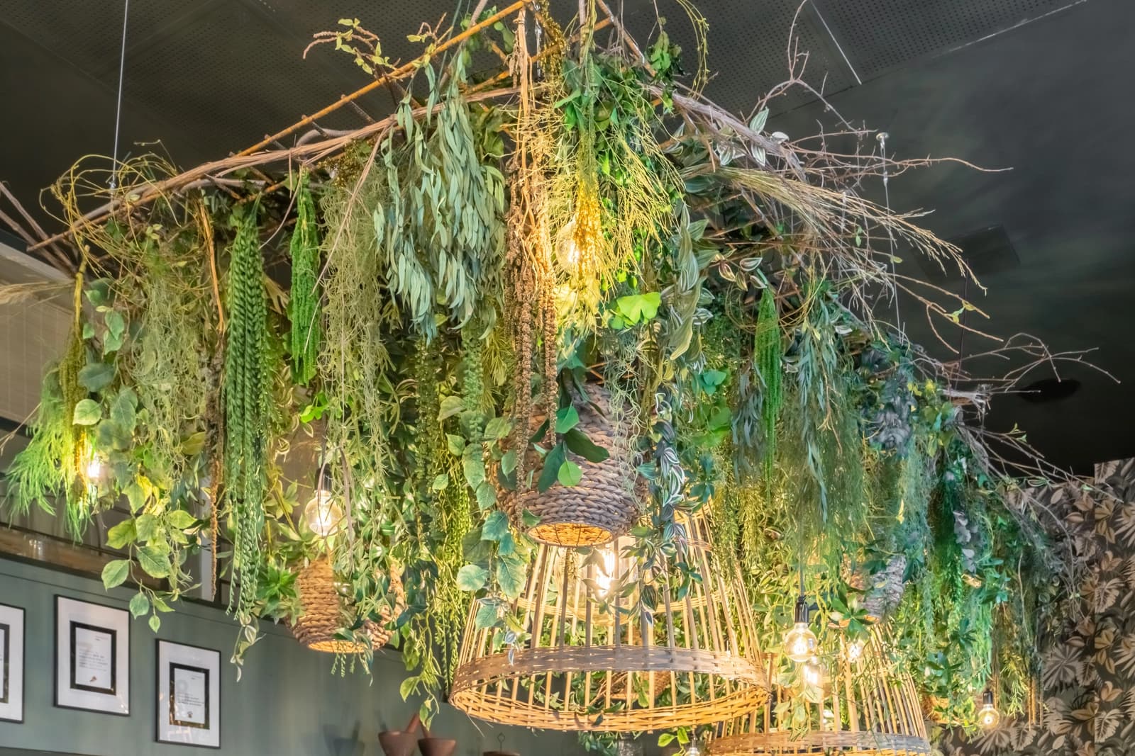 Espace L'Atelier Végétalisé: une oasis de verdure créative - 2