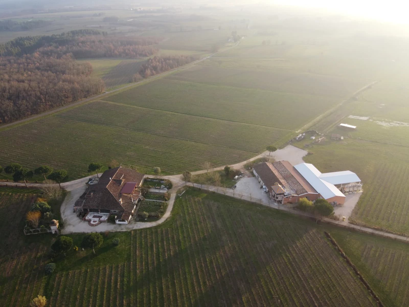 Meeting room in Exceptional and Unique Wine Estate - 1