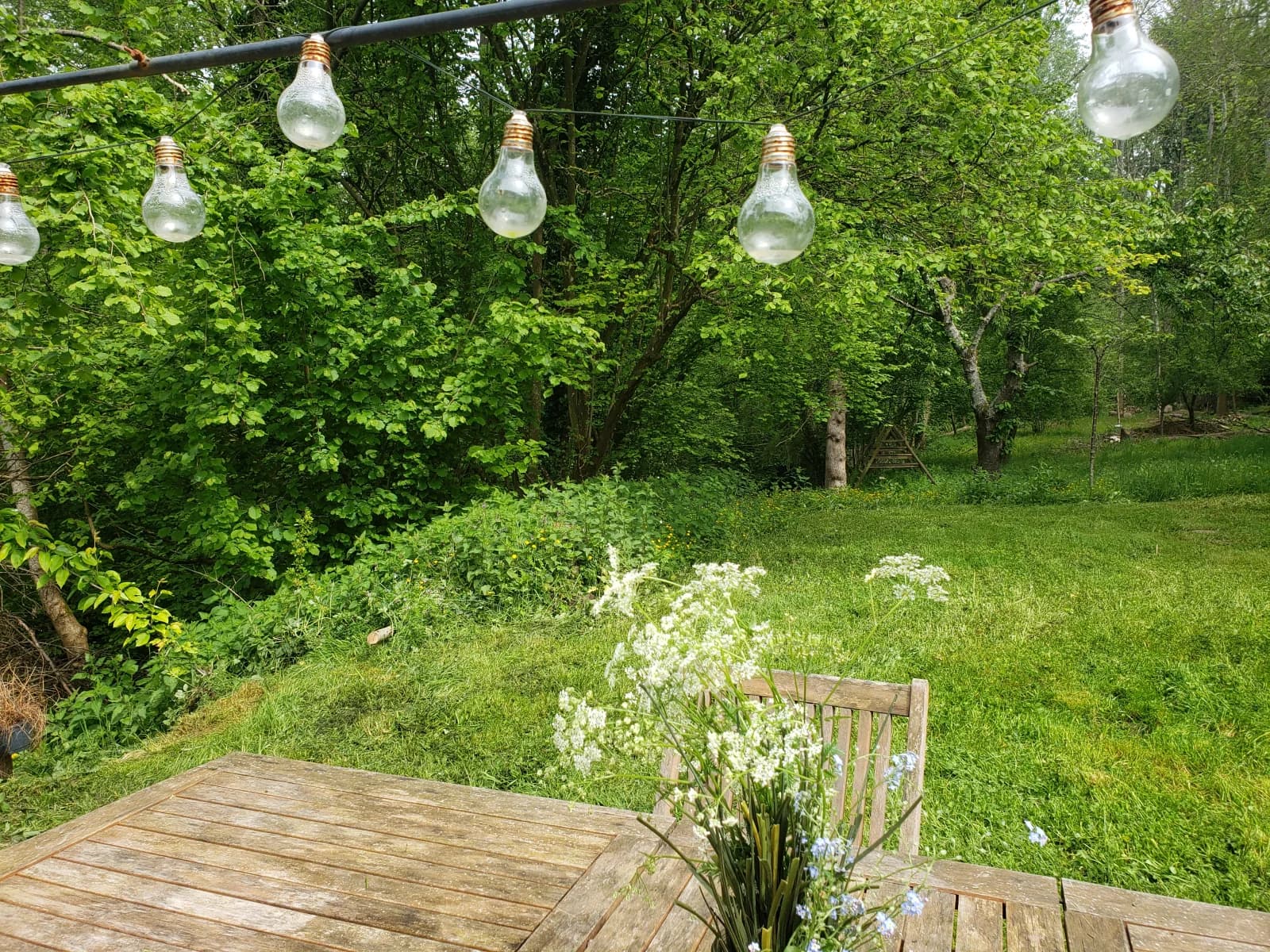 Espace Maison ancienne en lisière de forêt - 4