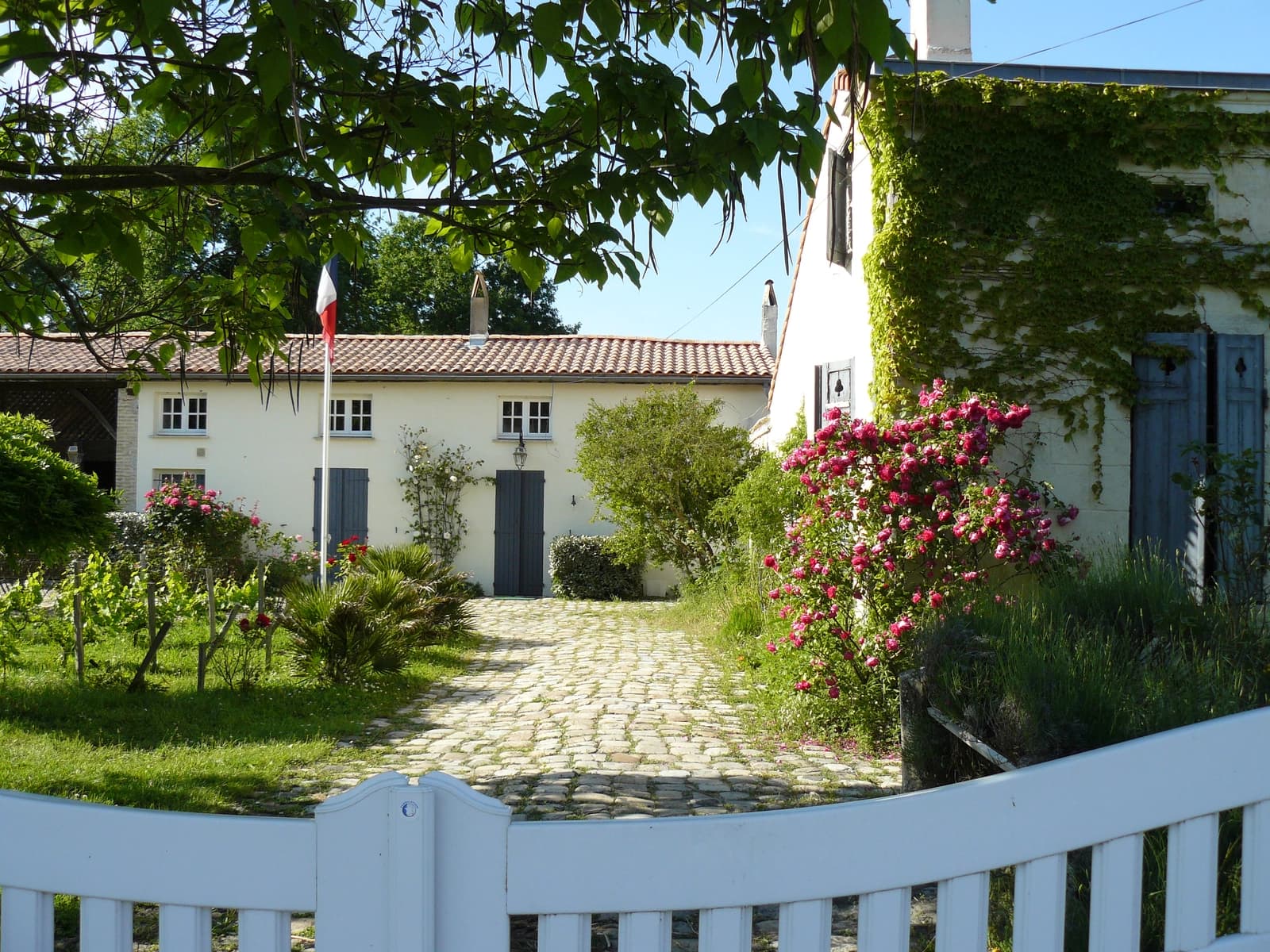 Bâtisse du XIXe siècle nichée dans le Médoc verdoyant