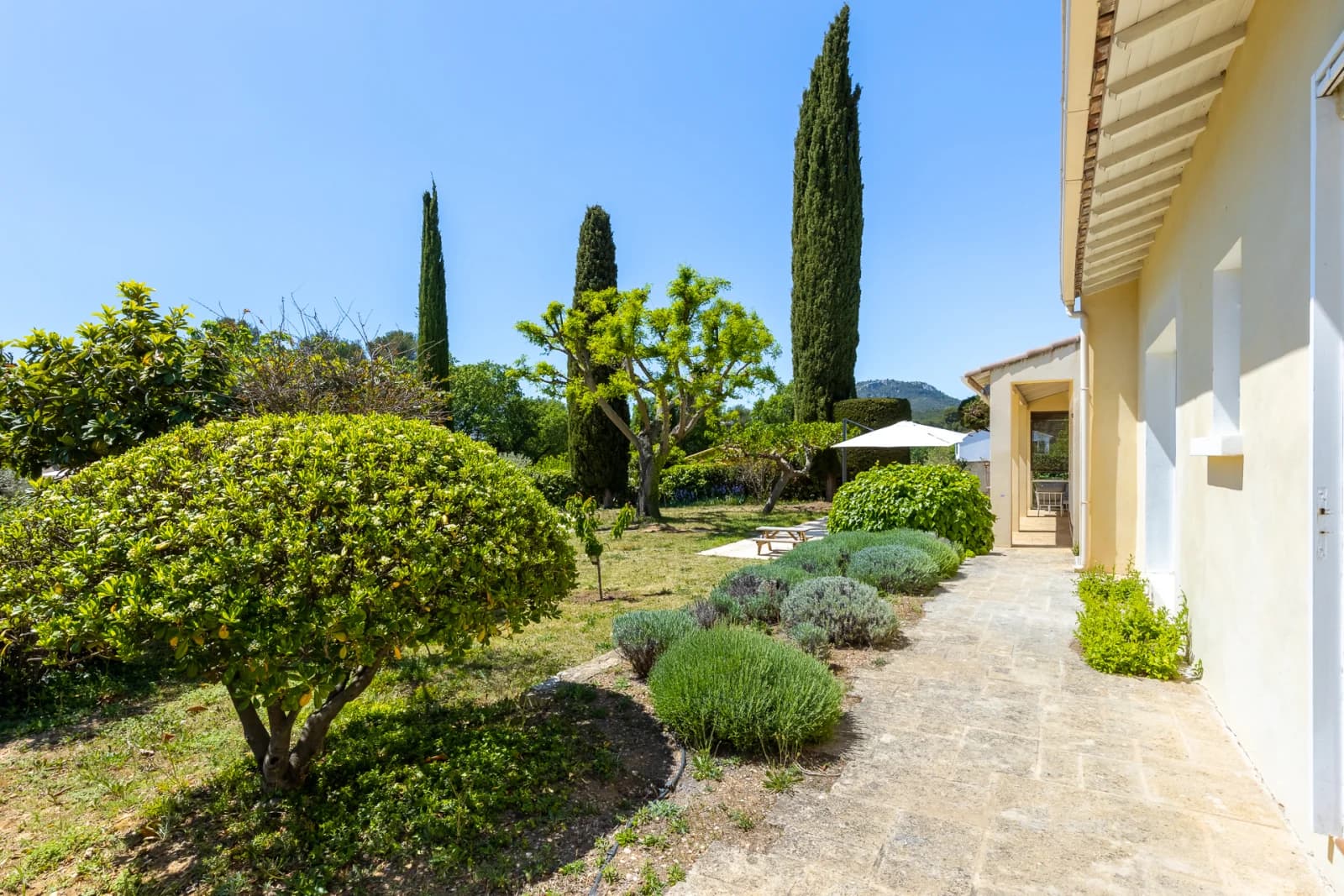 Espace Maison provençale au pied des collines ensoleillées - 4