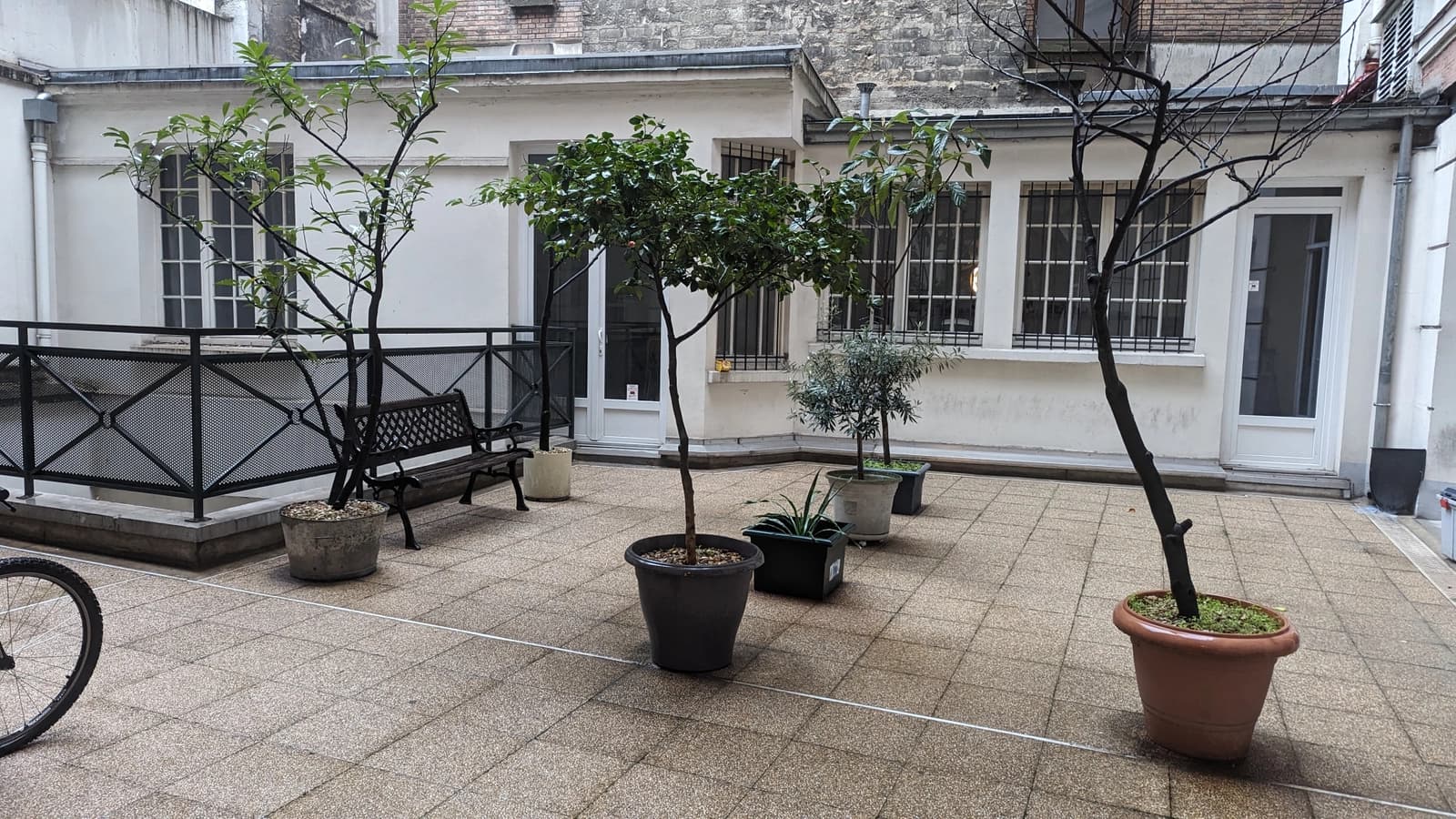 Espace Prestigieux espace haussmannien rénové - 4