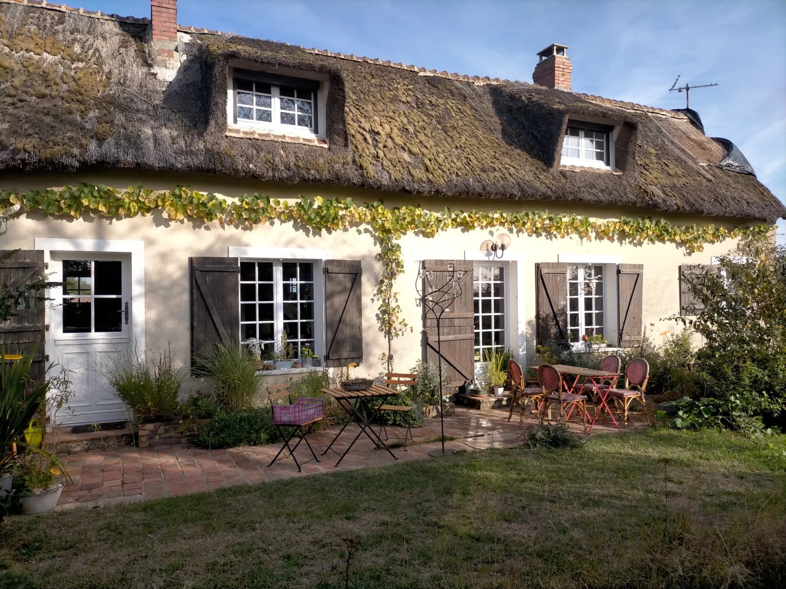 Under a thatched cottage