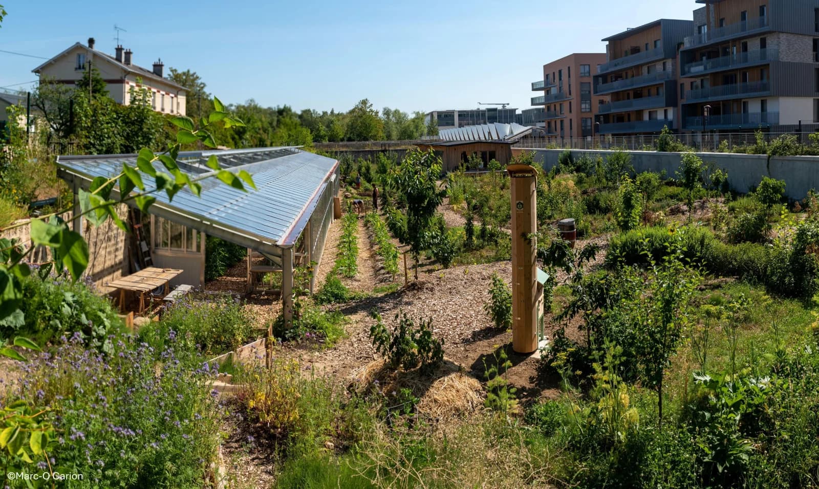 Space An urban farm in the heart of Versailles - 4