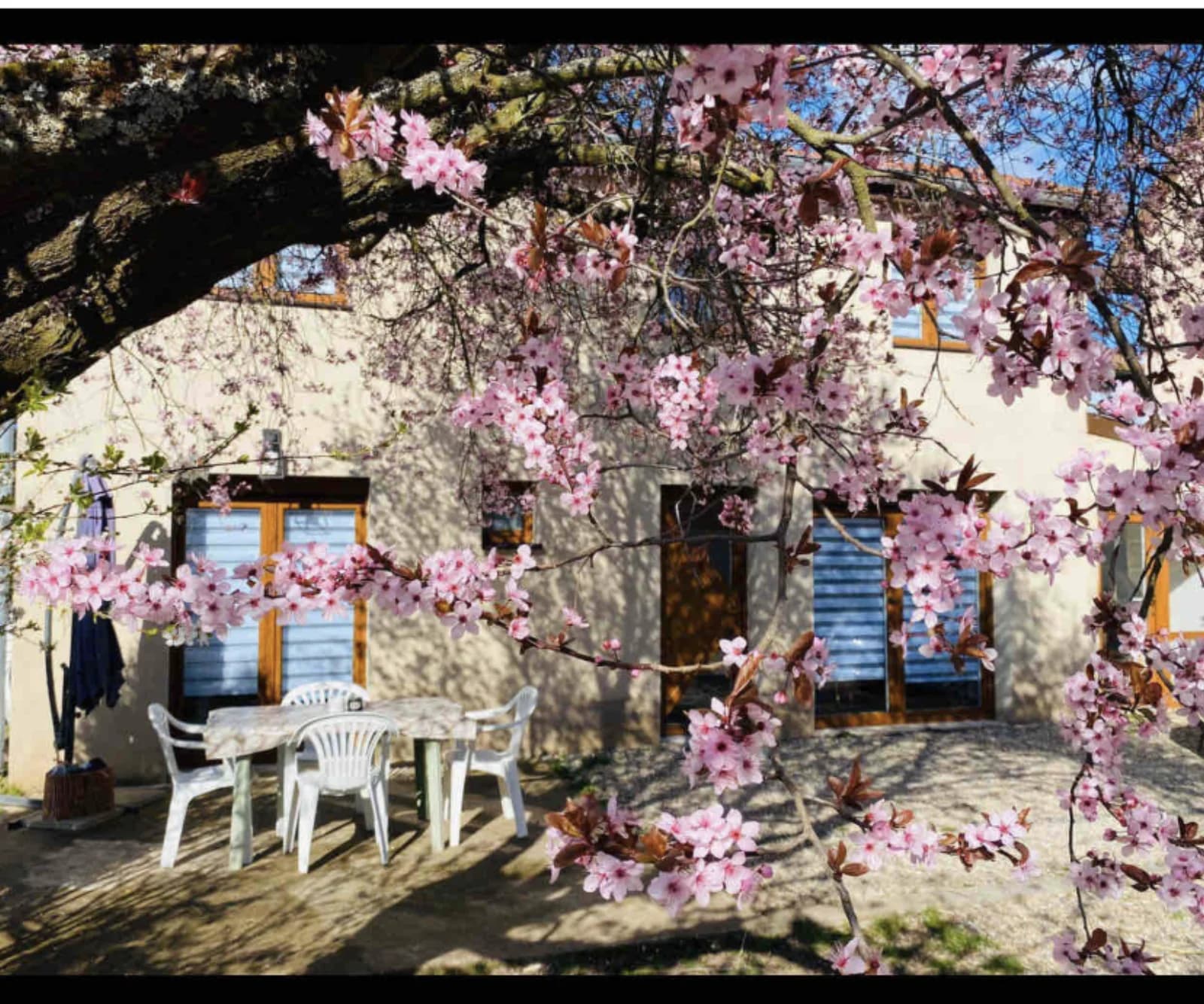 Space Magnolia Gite - 4