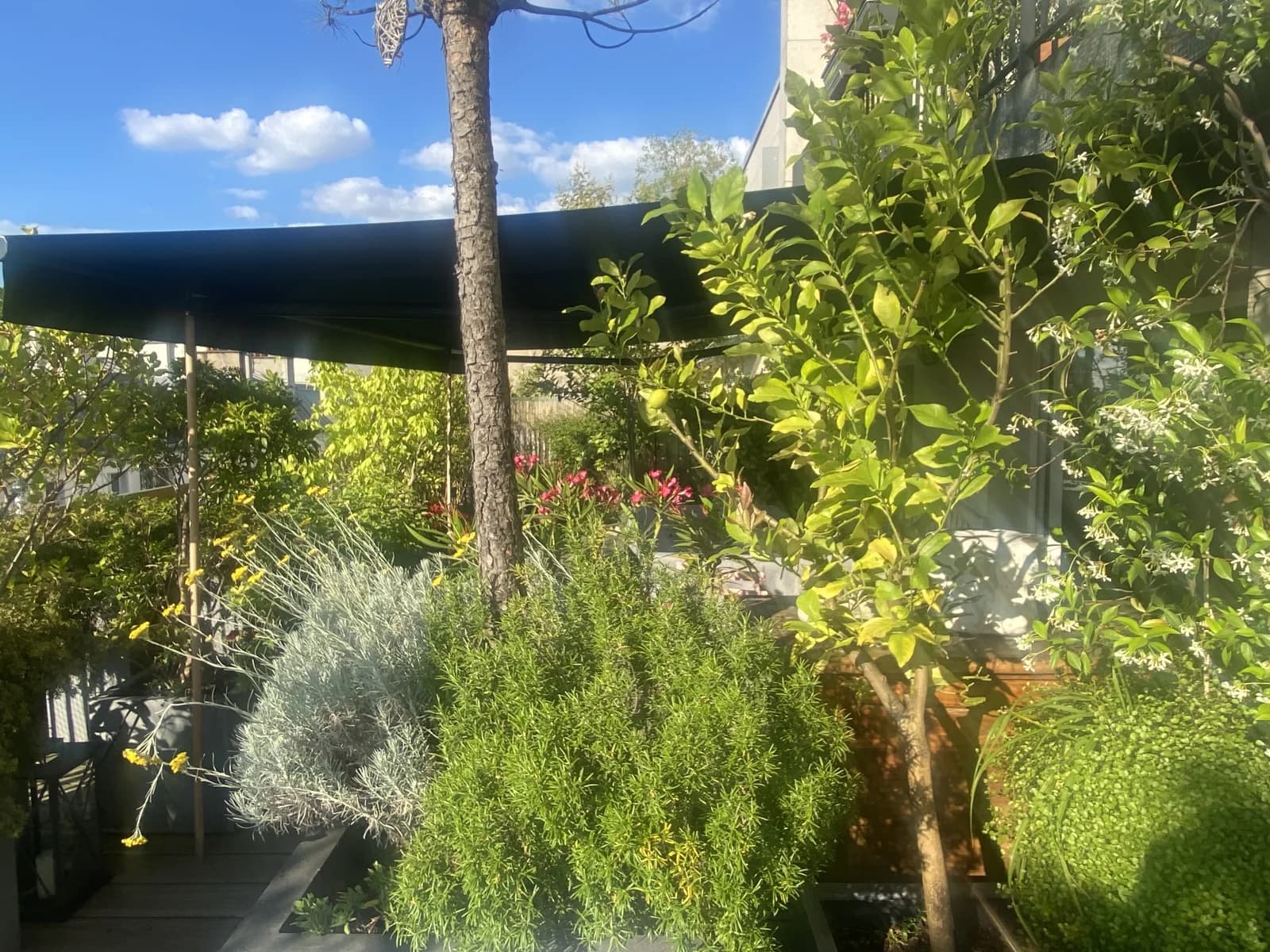 Espace Appartement avec jardin suspendu sur les toits de Paris - 4
