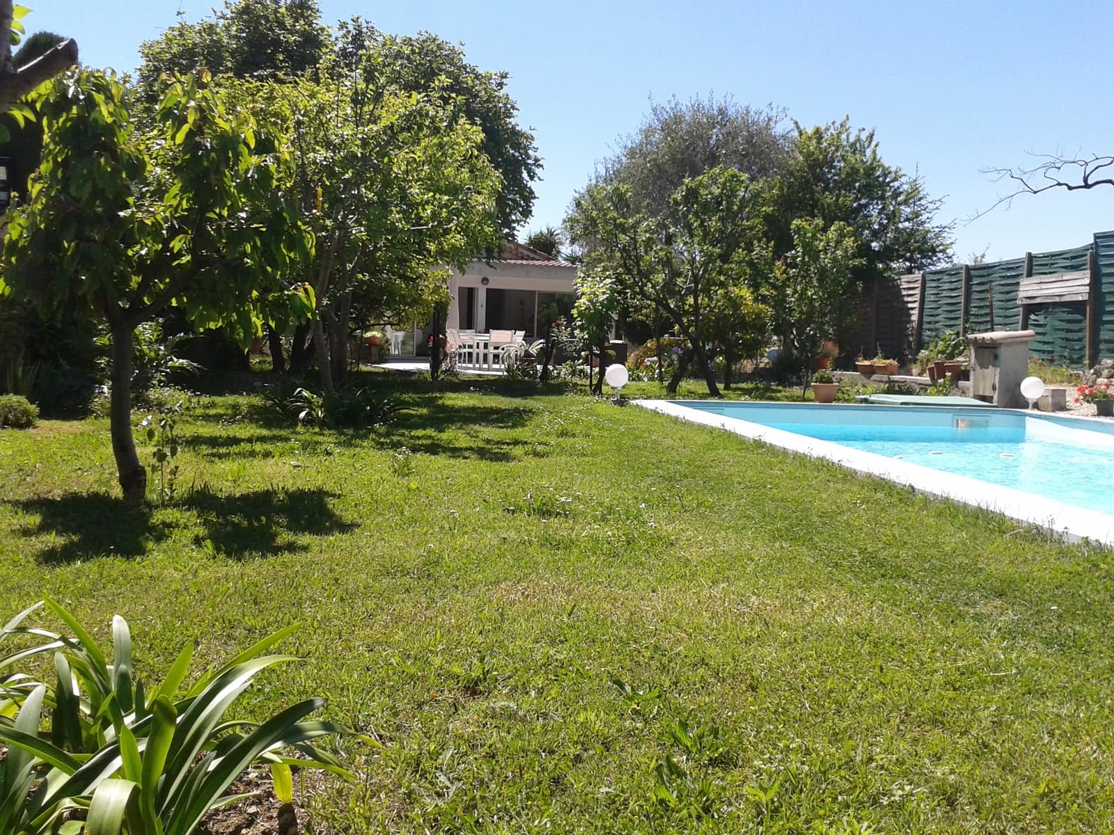 Salle de réunion dans The Dedela Beach: villa de rêve avec piscine privée - 1