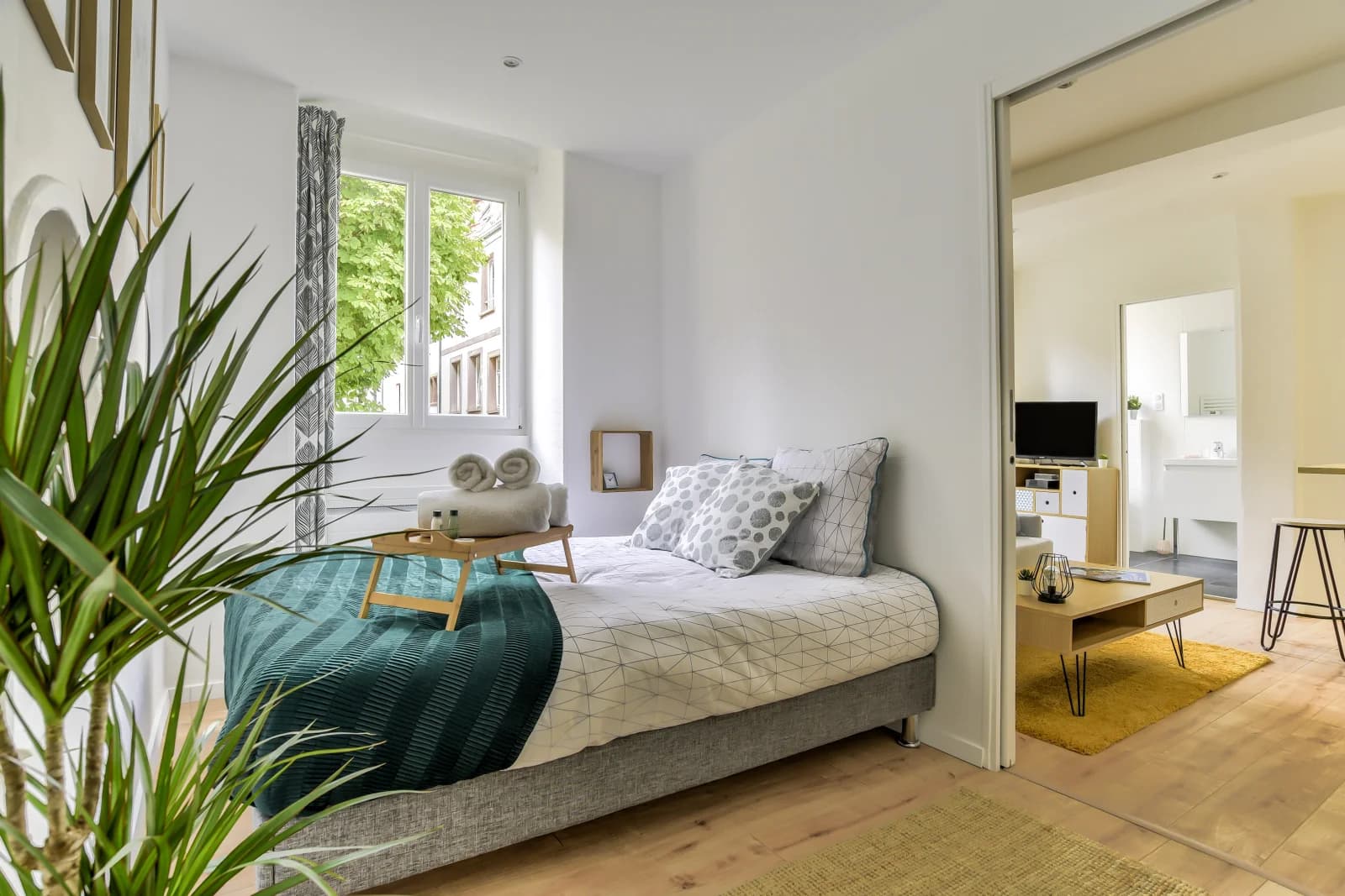 Chambre dans Oasis de sérénité en plein centre de Strasbourg - 1
