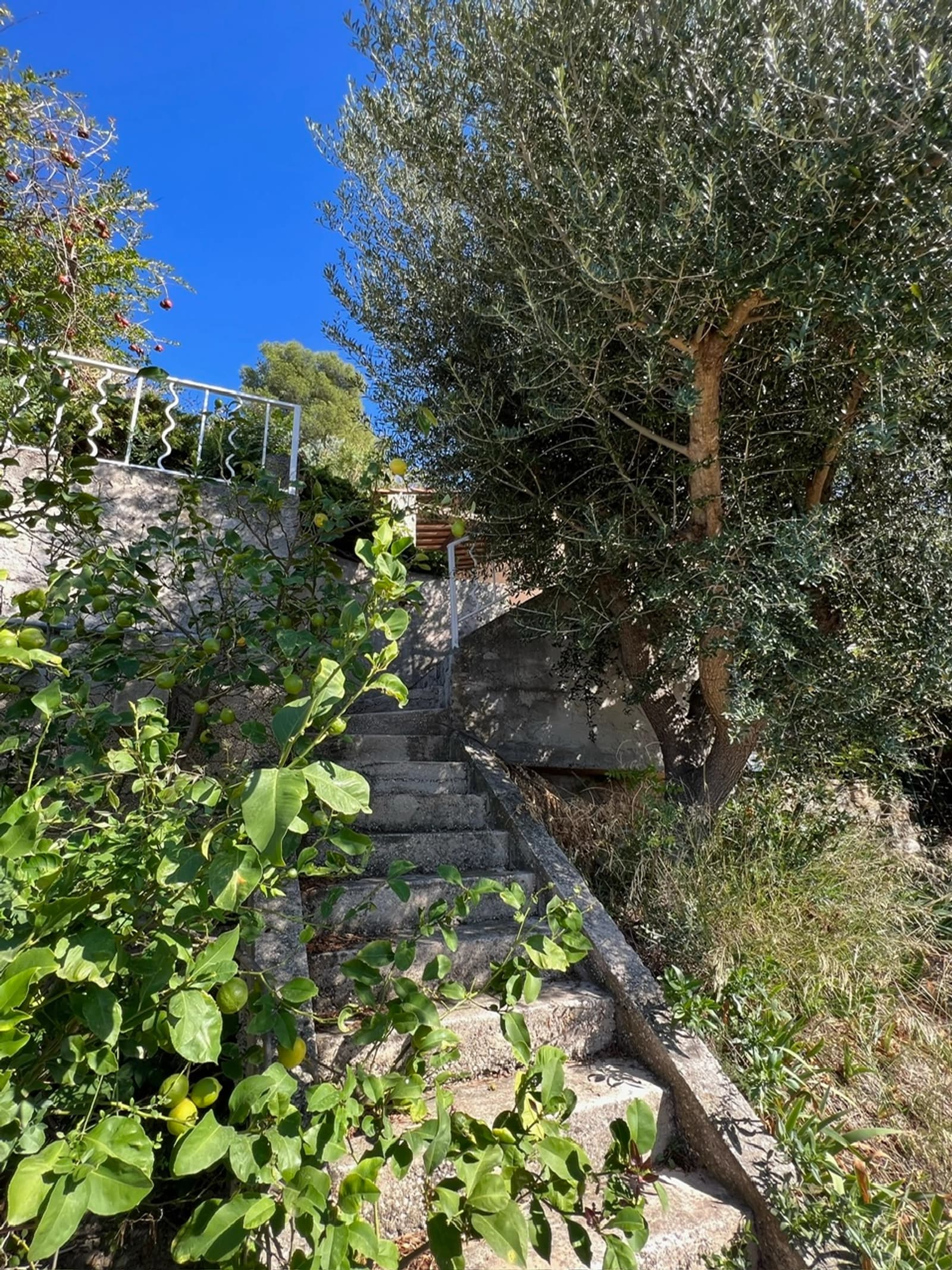 Space Provencal villa with mountain views - 2