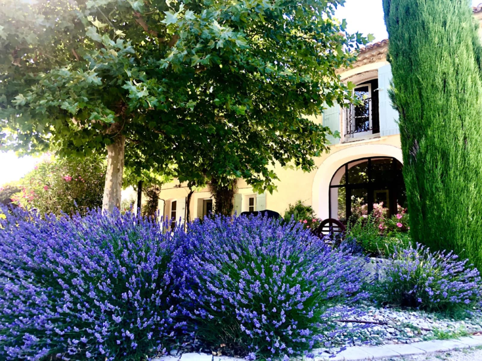 Salle de réunion dans Mas provençal authentique disponible à la location - 1