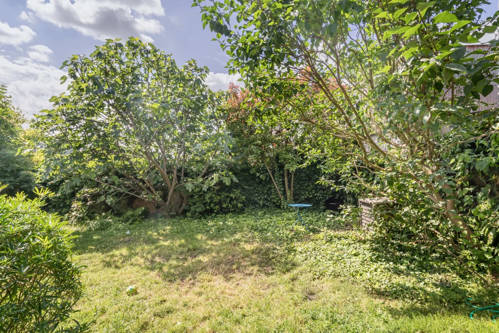 Space Renovated architect-designed house with large garden - 4