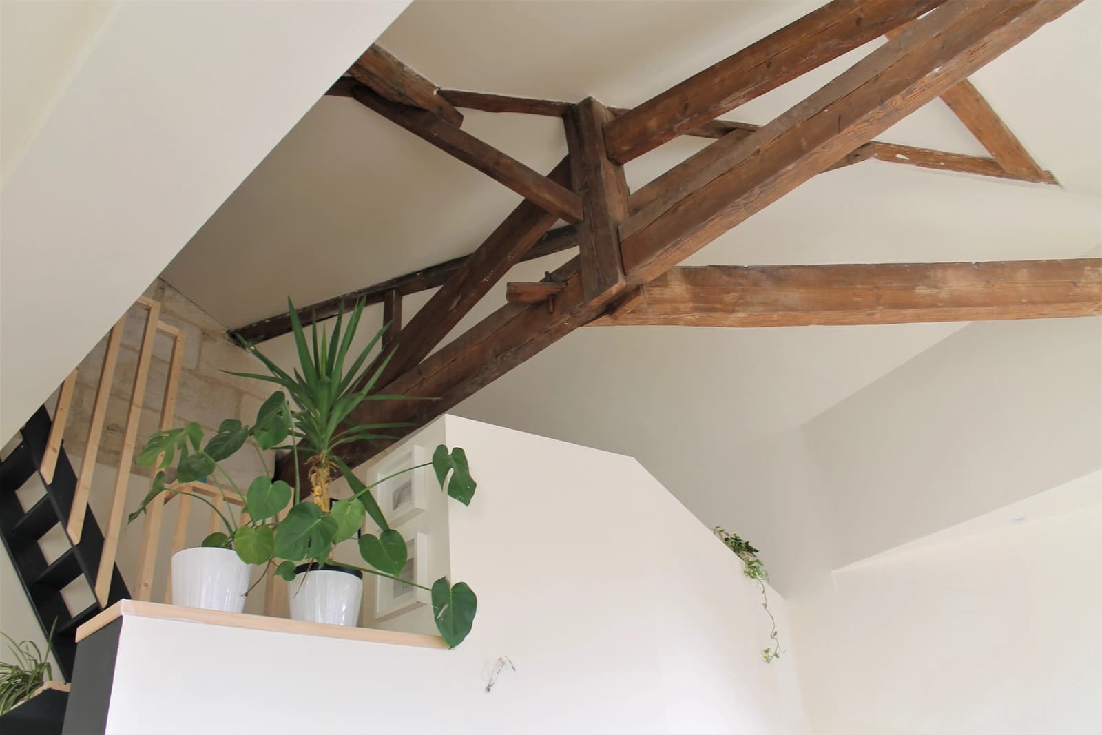 Salon dans Loft spacieux baigné d'une lumière apaisante - 1