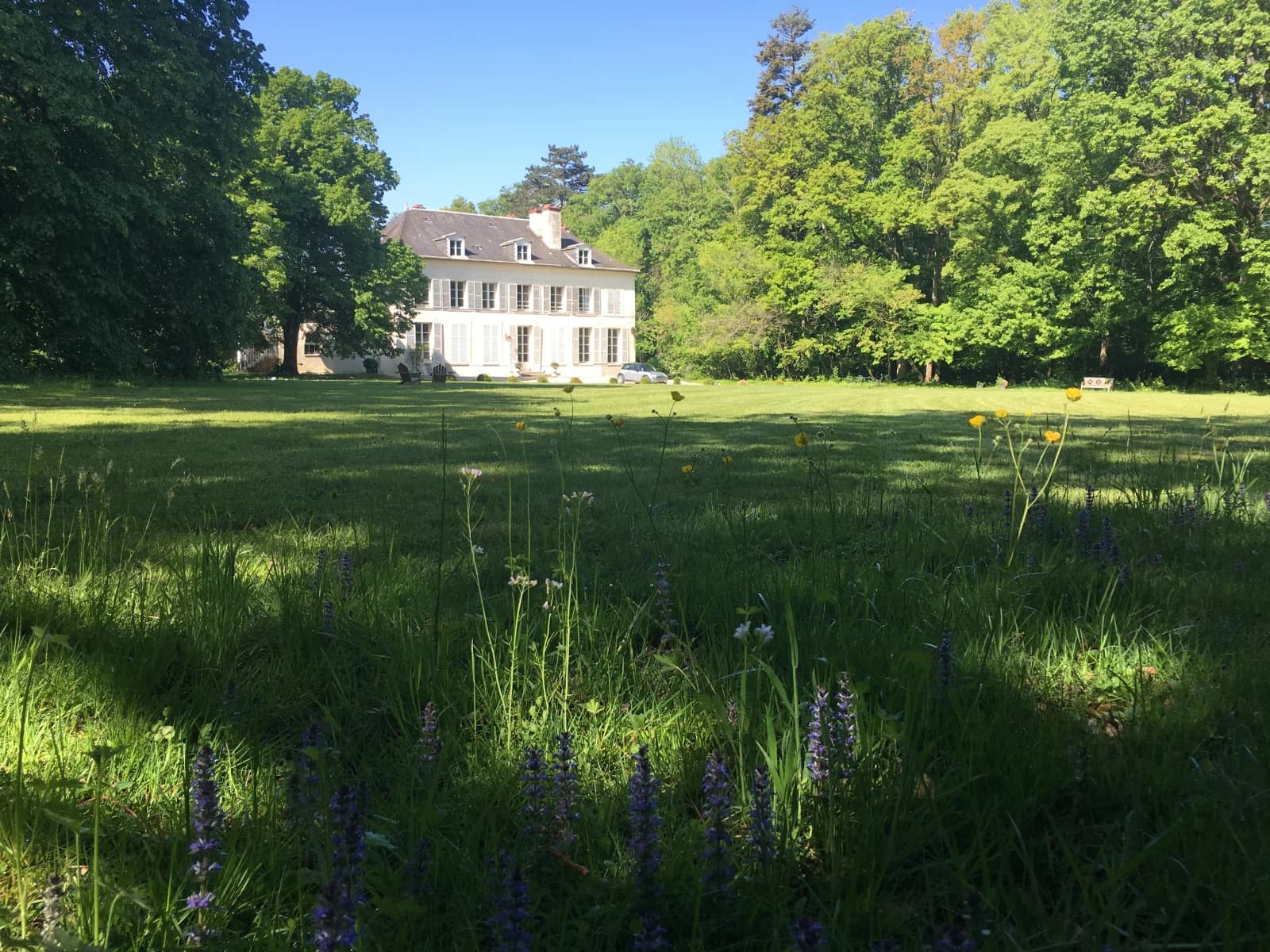 Château gustavien enchanteur au coeur de la forêt