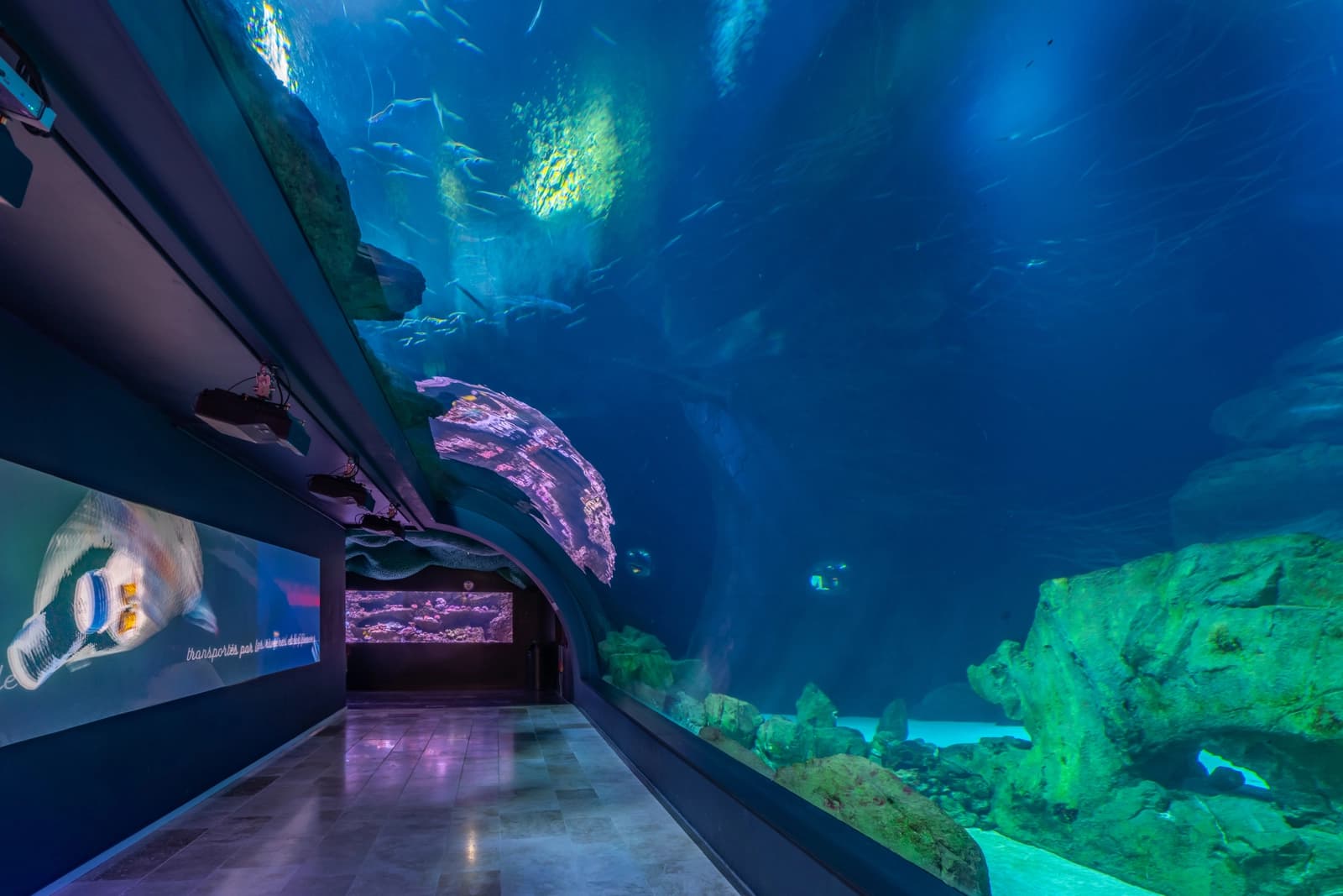 Espace Aquarium immersif au cœur de Paris - 0