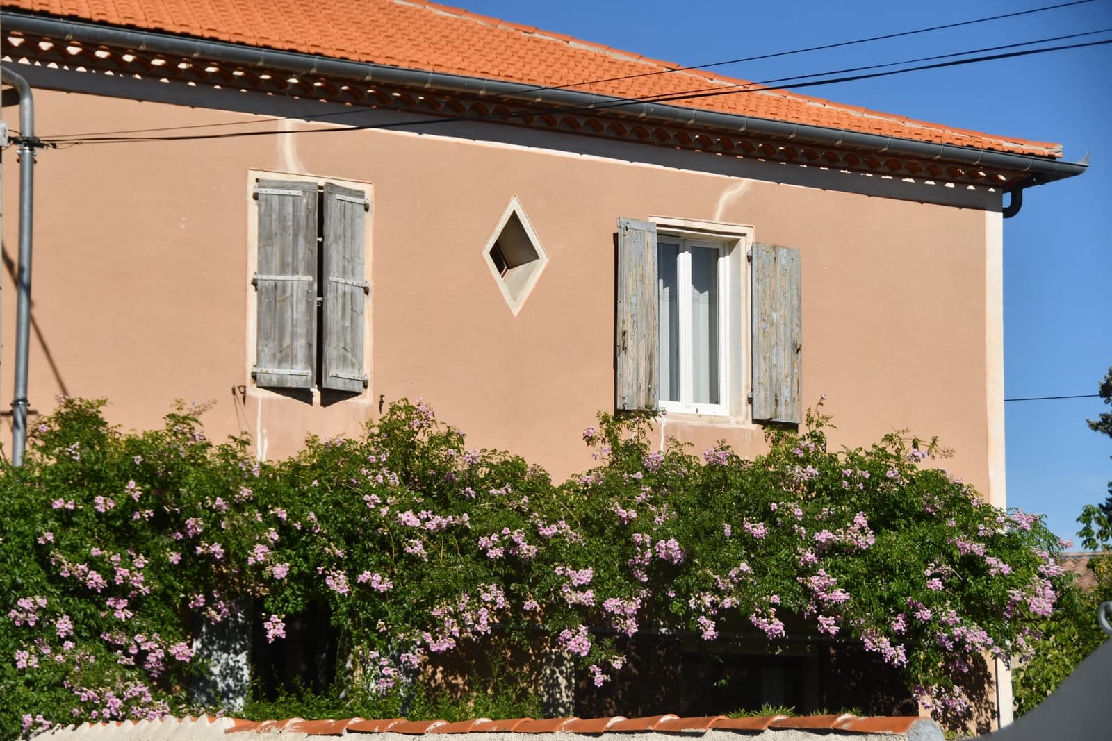 Espace Maison charmante avec extérieur arboré - 4