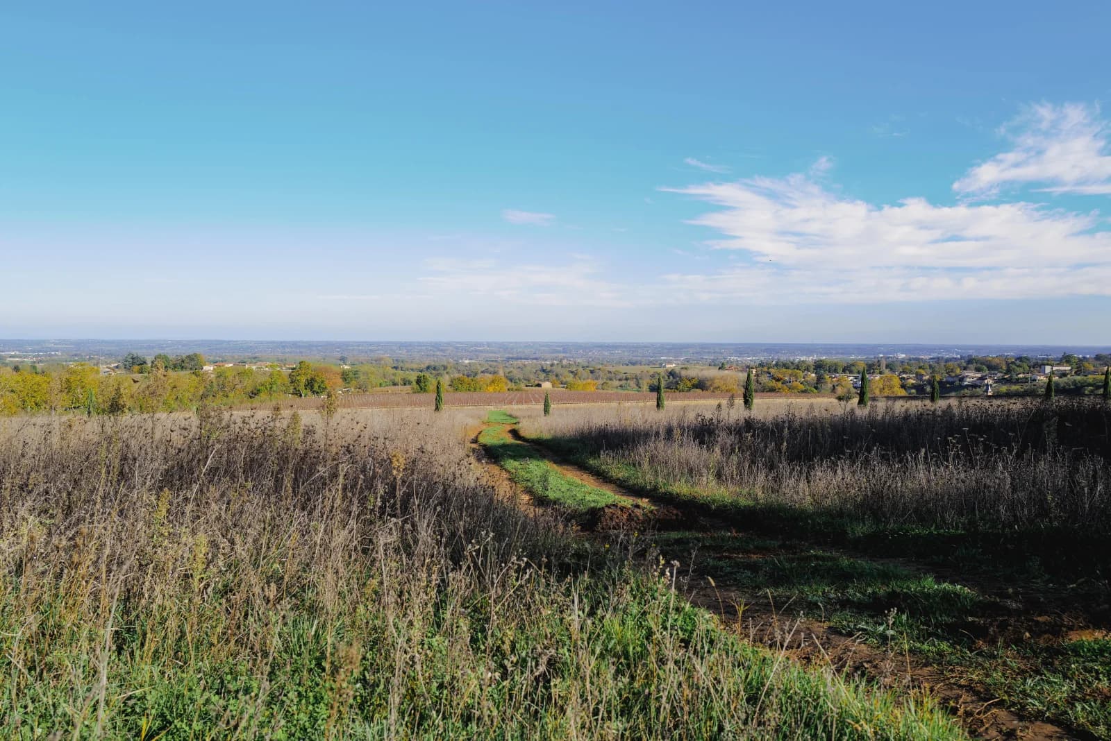 Space Fully renovated château for rent in the Beaujolais region - 4