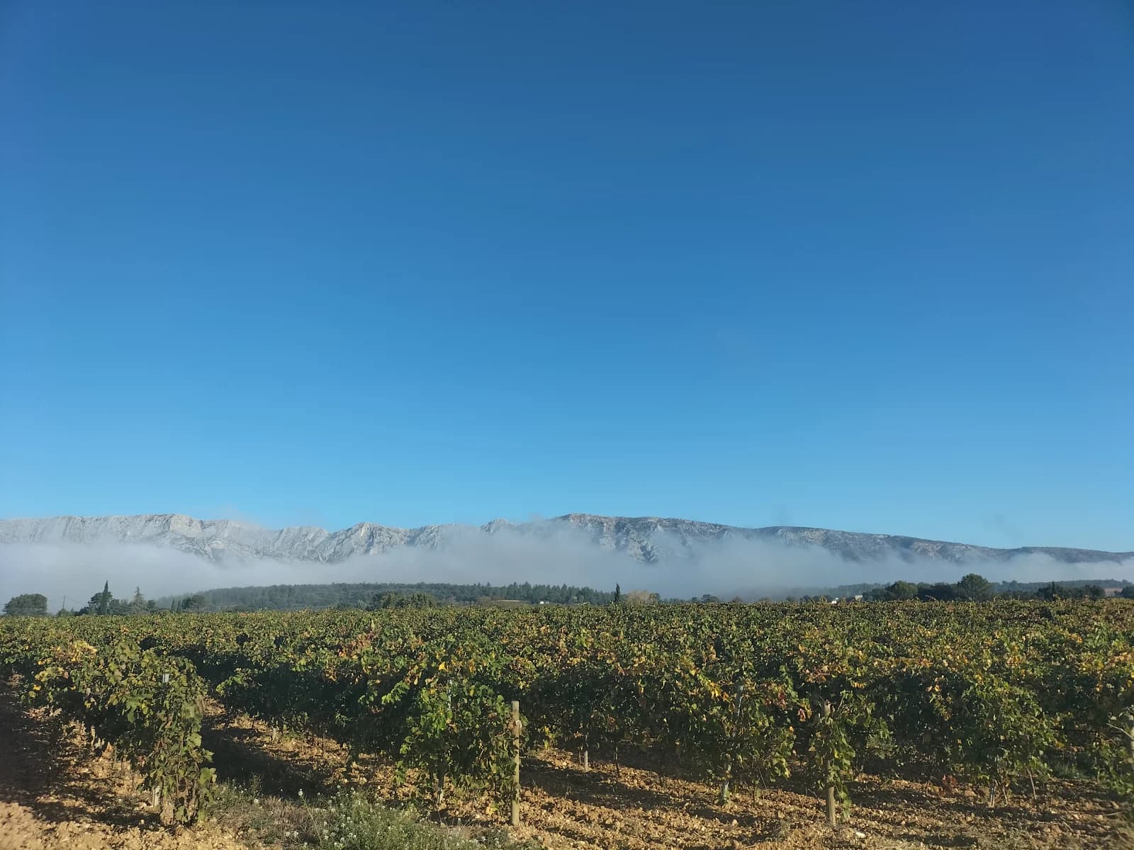 Salle de réunion dans Salle de réception avec une vue panoramique unique - 1