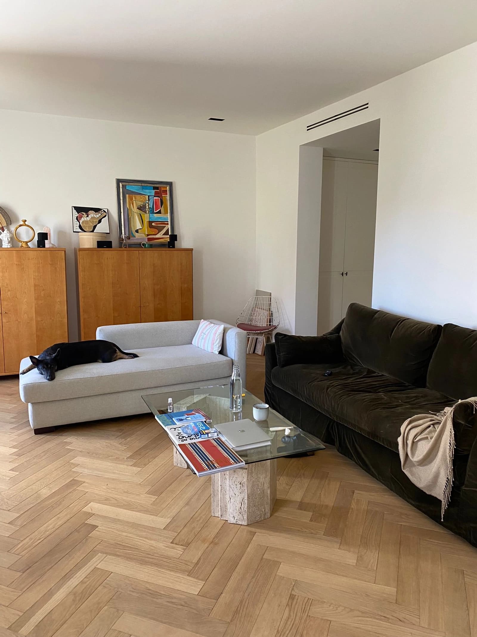 Salon dans Appartement lumineux avec ses poutres apparentes - 1