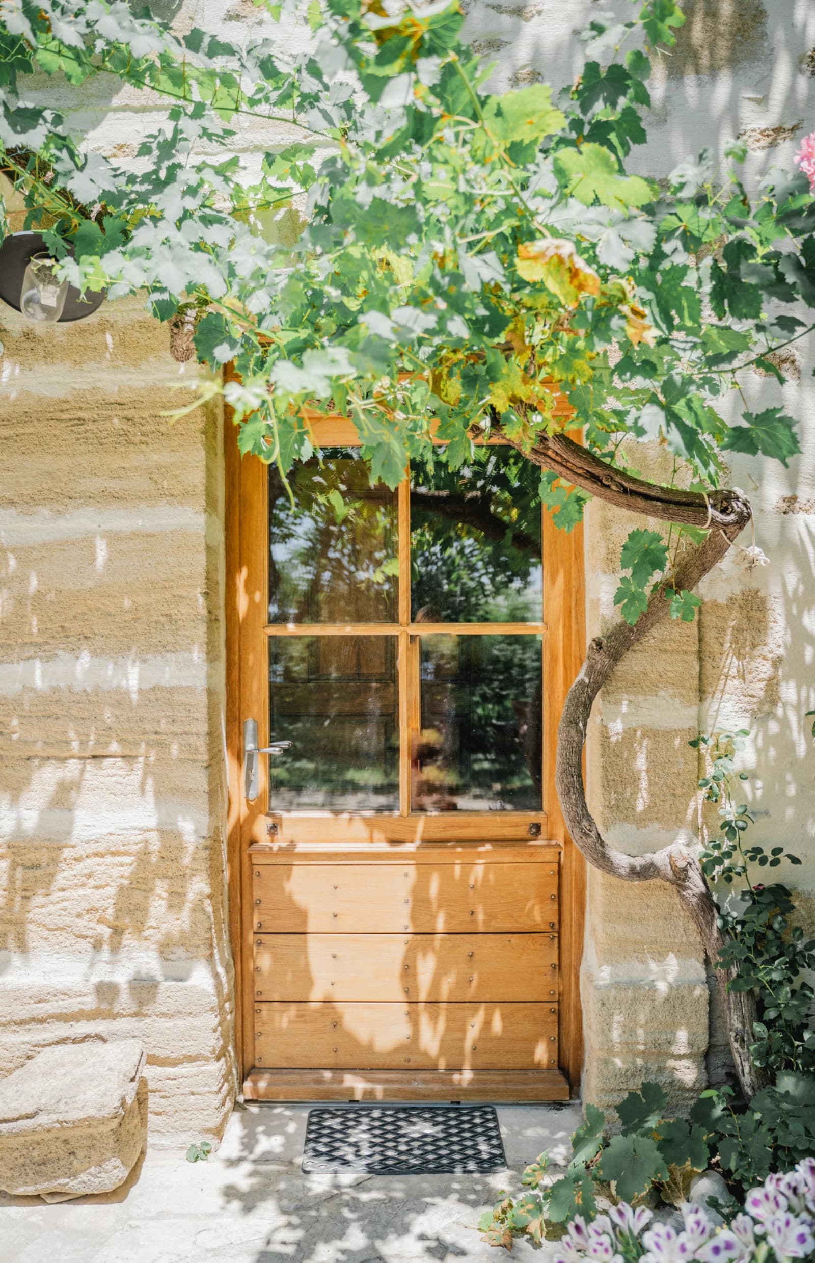 Espace Mas provençal entre vignes et oliviers, charme assuré - 2
