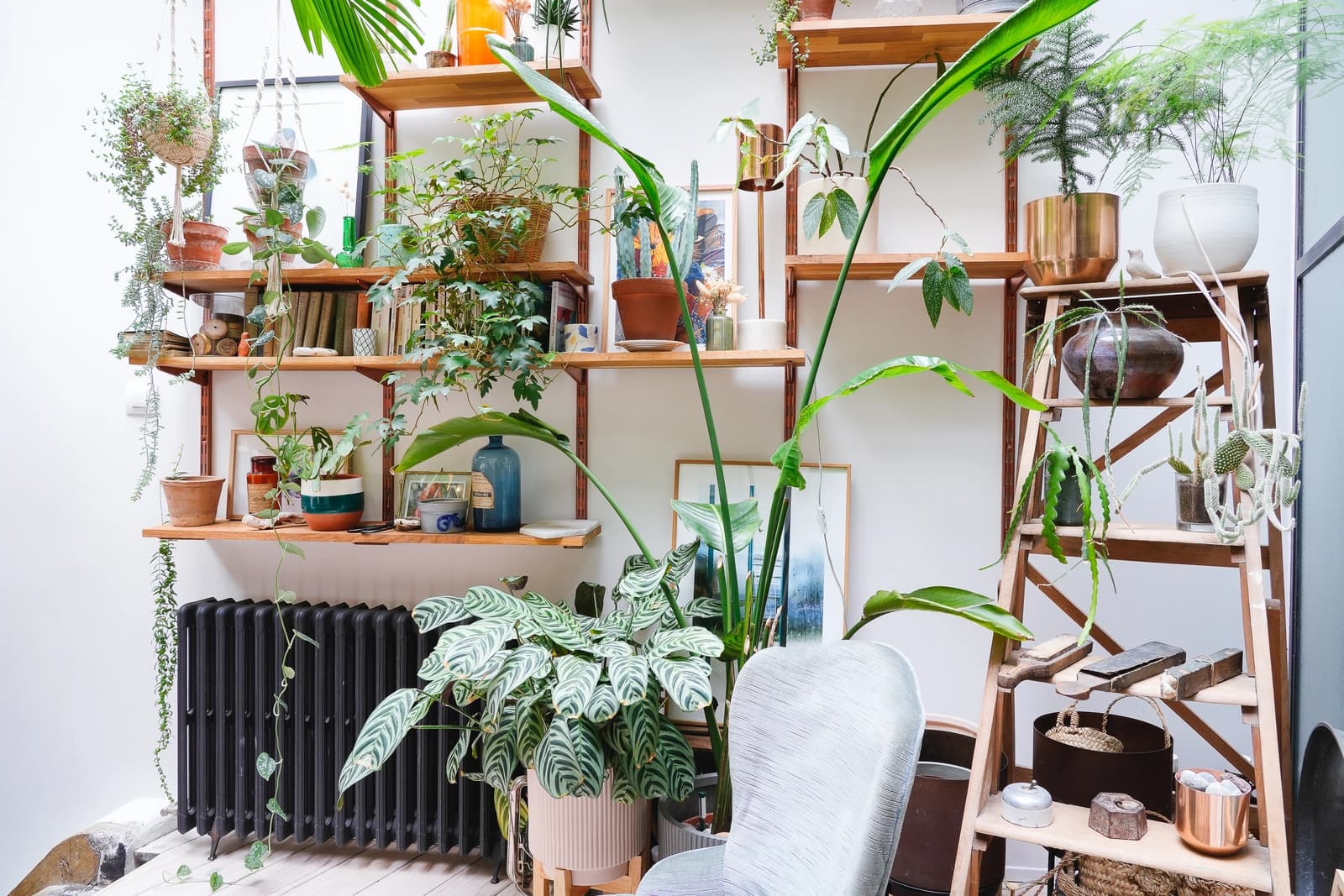 Salon dans Superbe loft design, une véritable atmosphère cocooning - 1