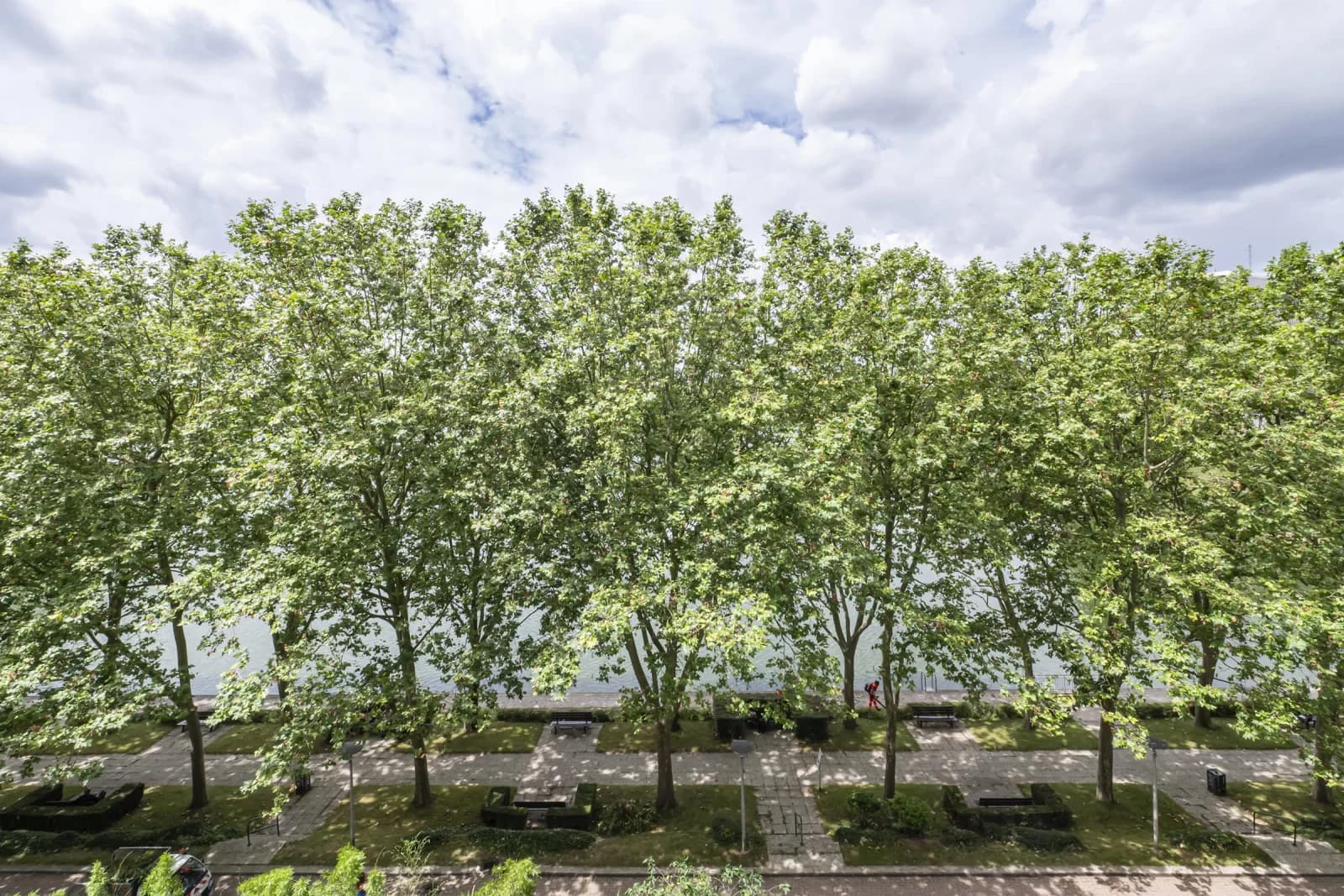 Espace Magnifique appartement sur le lac de Creteil - 4