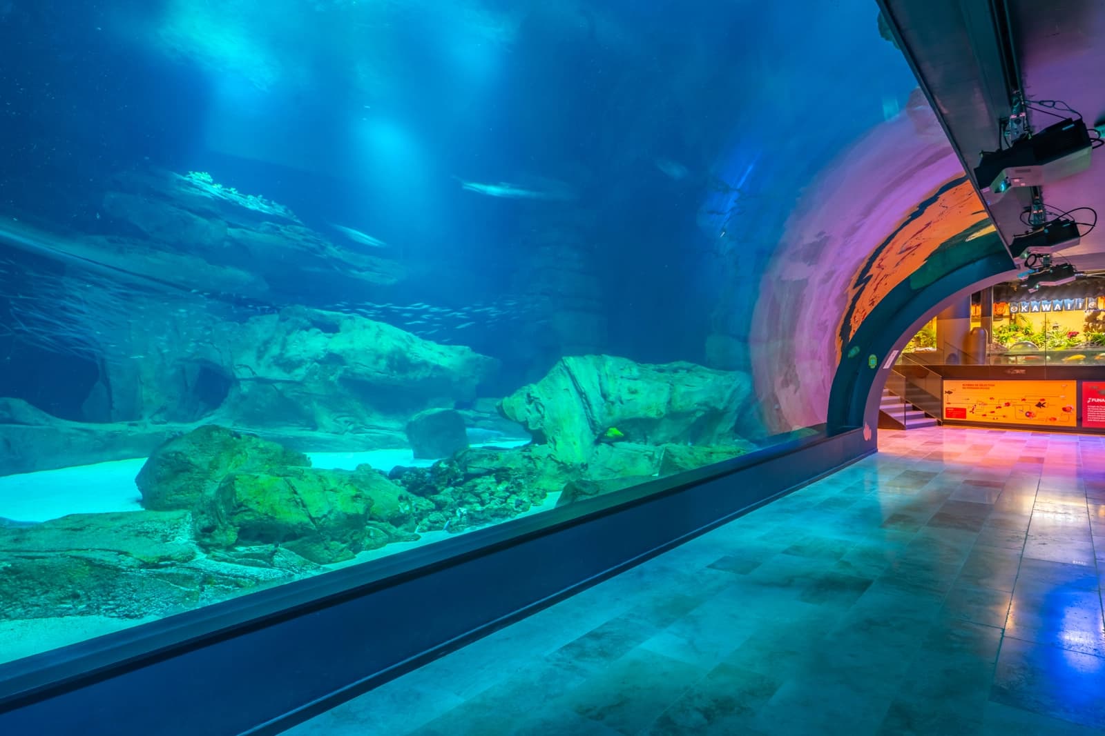Espace Aquarium immersif au cœur de Paris - 3