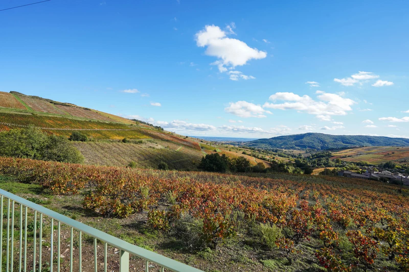 Espace Maison atypique avec vue sur les vignes - 4
