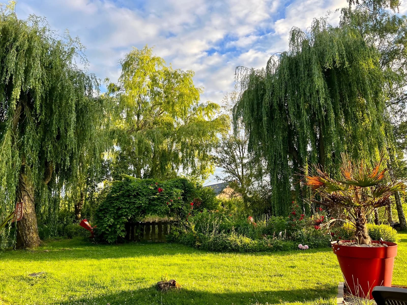 Meeting room in A bucolic setting - 1
