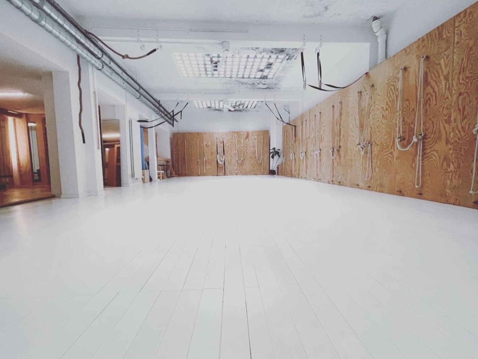 Salon dans Galerie Yoga: un espace de bien-être et de sérénité - 1