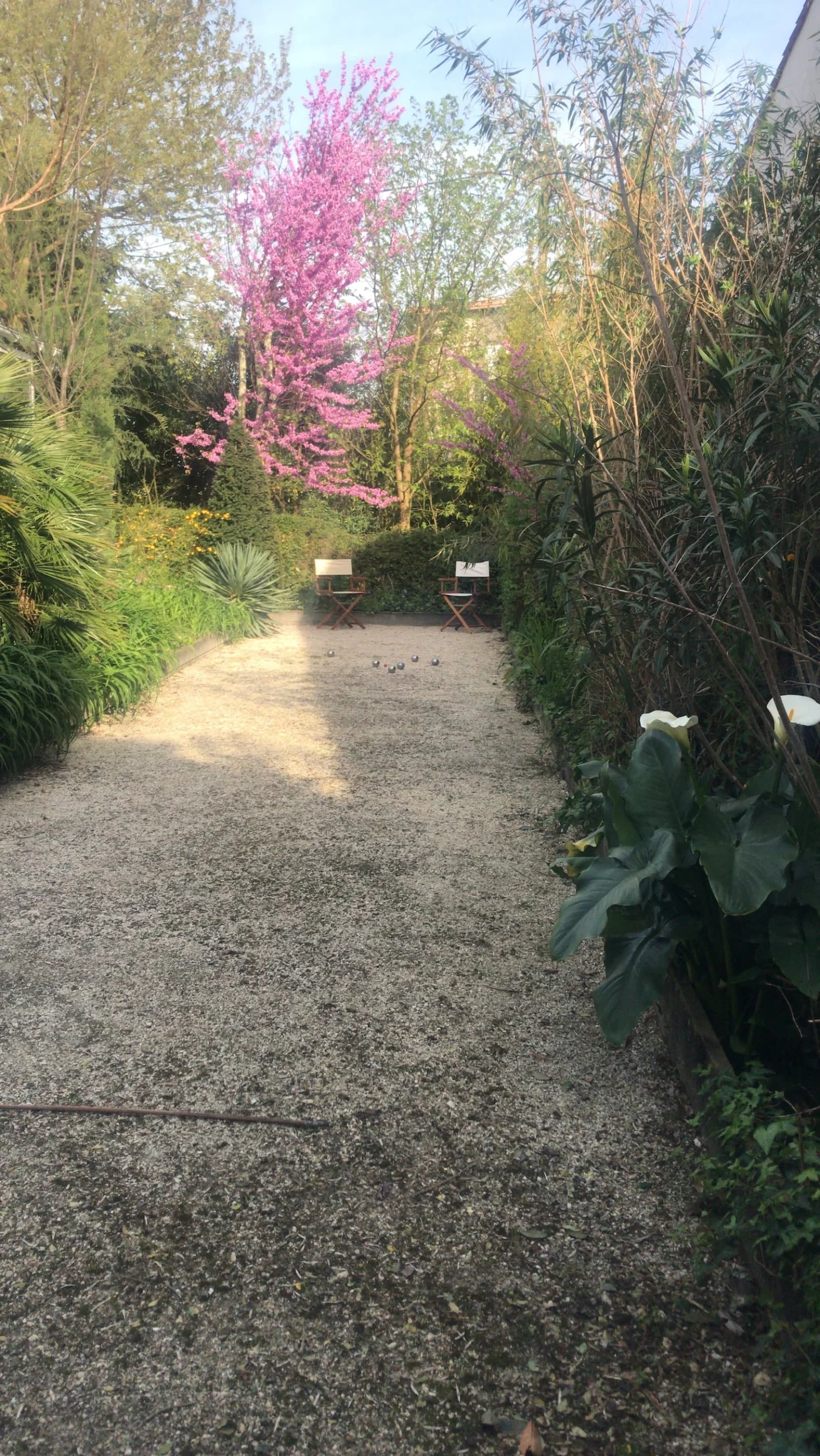 Espace La nature en ville : chartreuse avec grand jardin, piscine et pétanque - 4