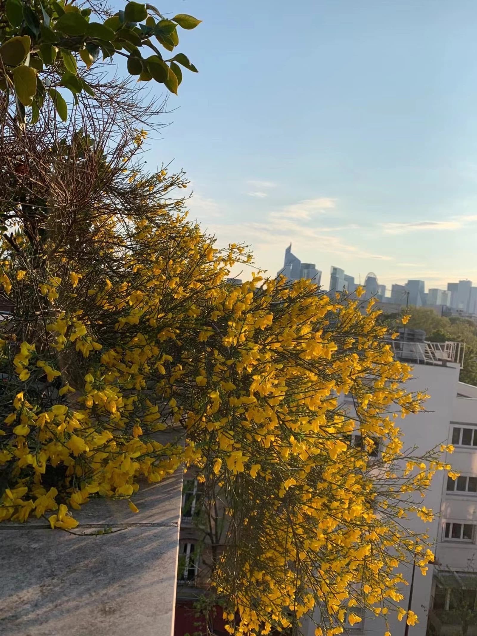 Meeting room in Neuilly-sur-Seine: rooftop avec vue sur La Défense - 1