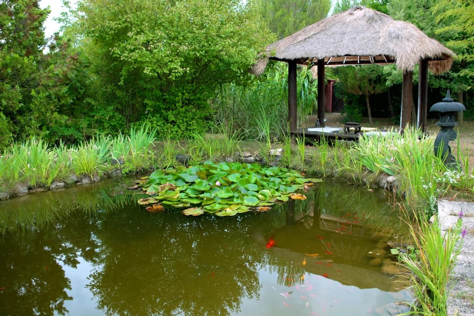 Meeting room in 5000m² dans un Parc Arboretum hyper Zen. - 1