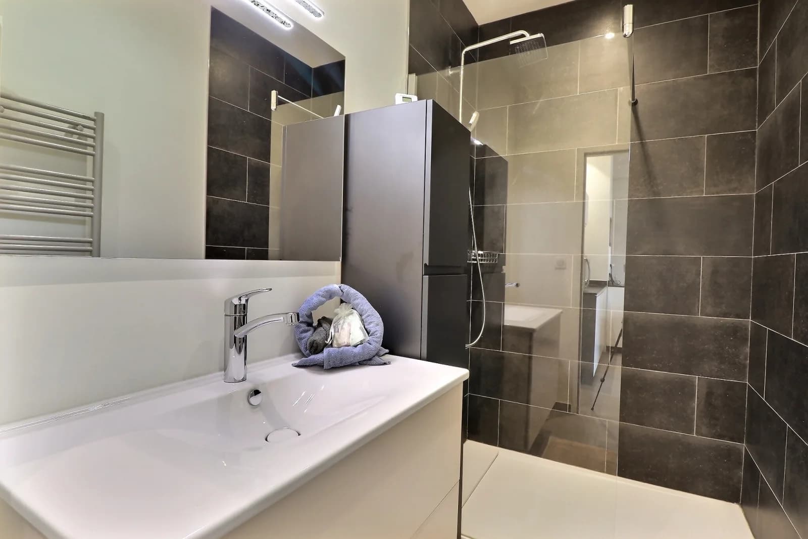 Salle de bain dans Loft contemporain au coeur battant de Lyon - 1