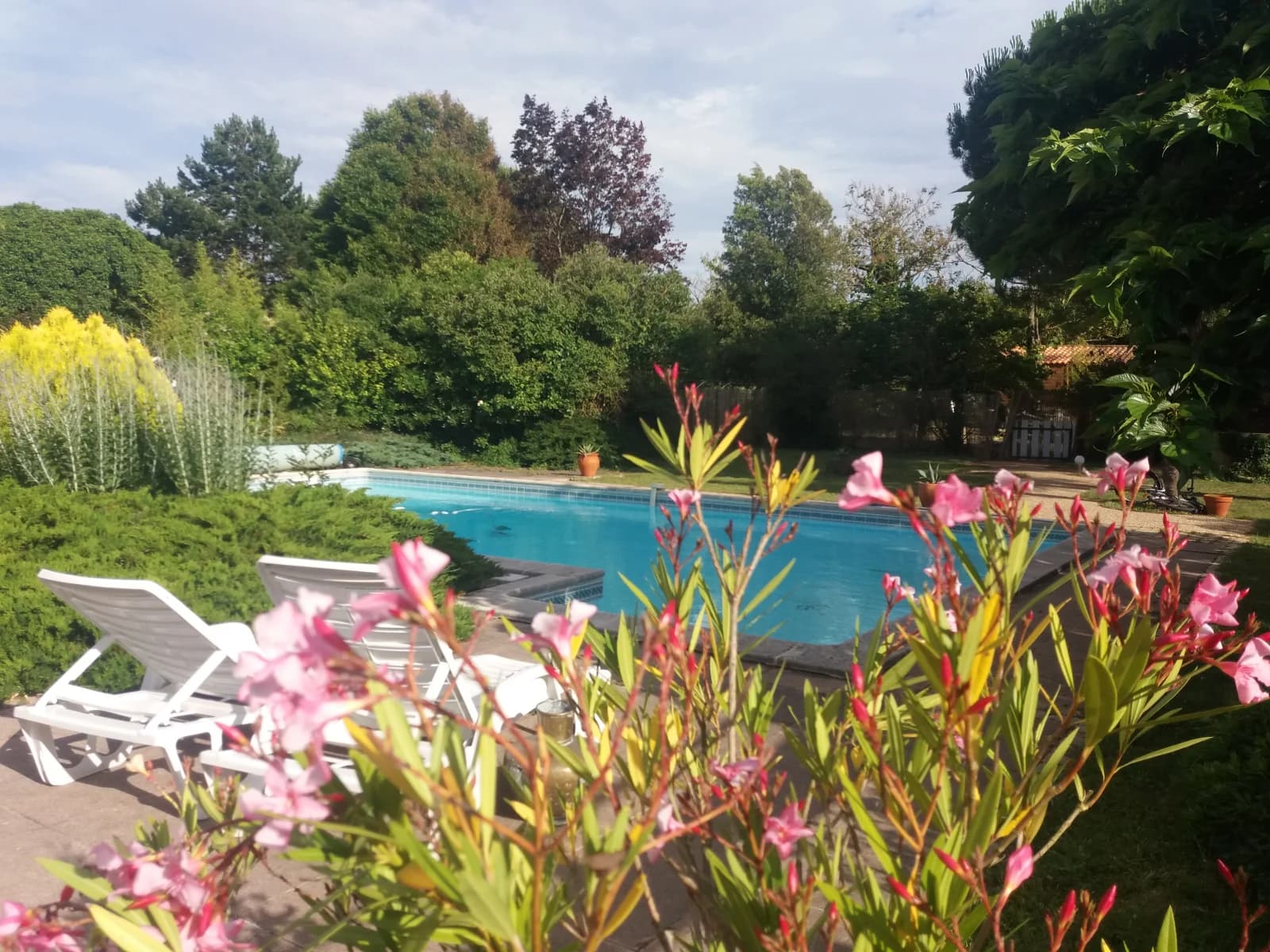 Meeting room in Superbe villa piscine privative jardin 1000m² - 1
