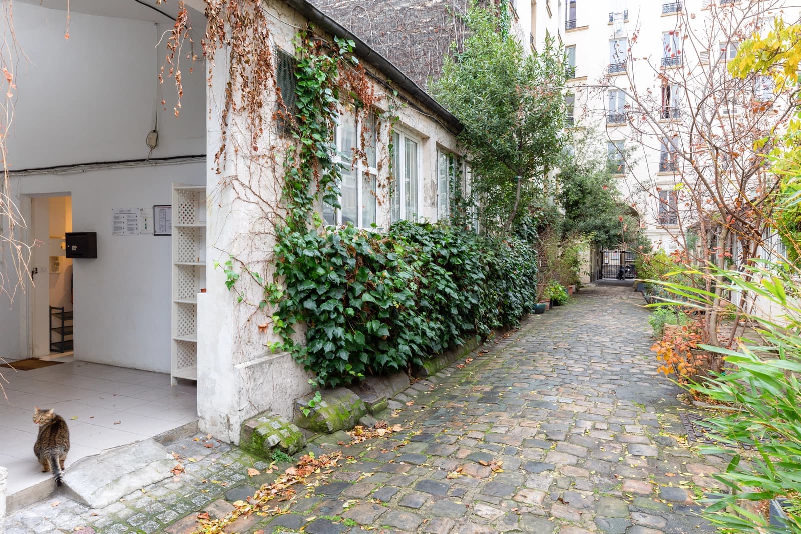 Meeting room in Architect's studio - Private courtyard - 1