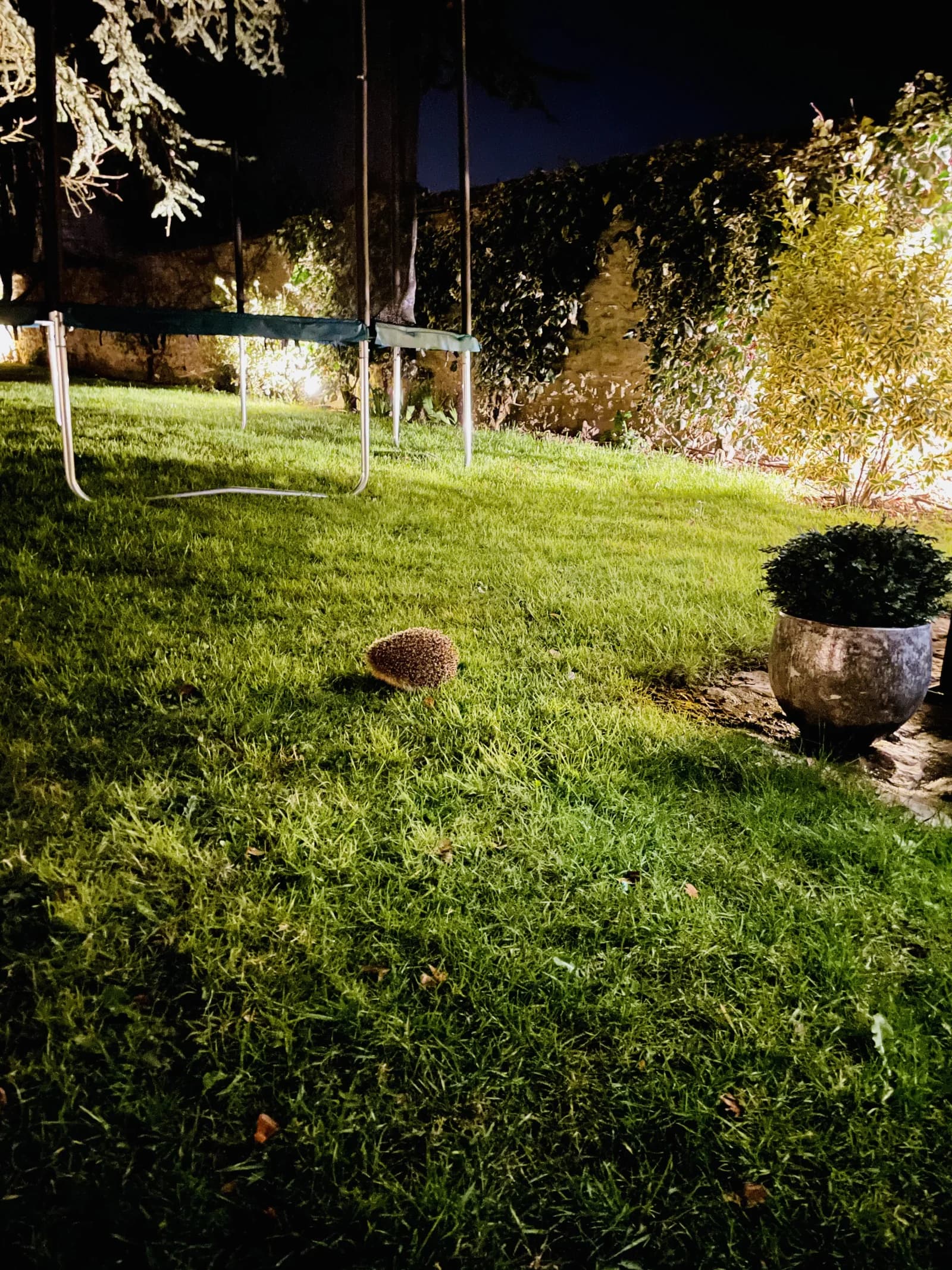 Espace Magnifique villa à Saint-Nom-la-Bretèche, cadre unique - 4