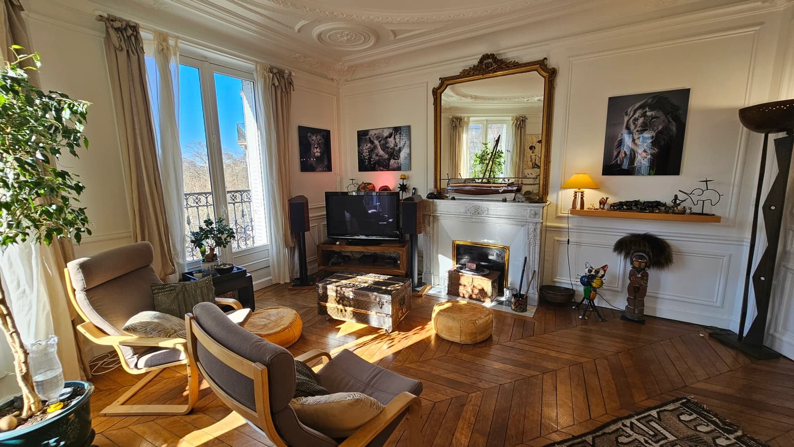 Living room in Haussmannian apartment with exotic decor - 1