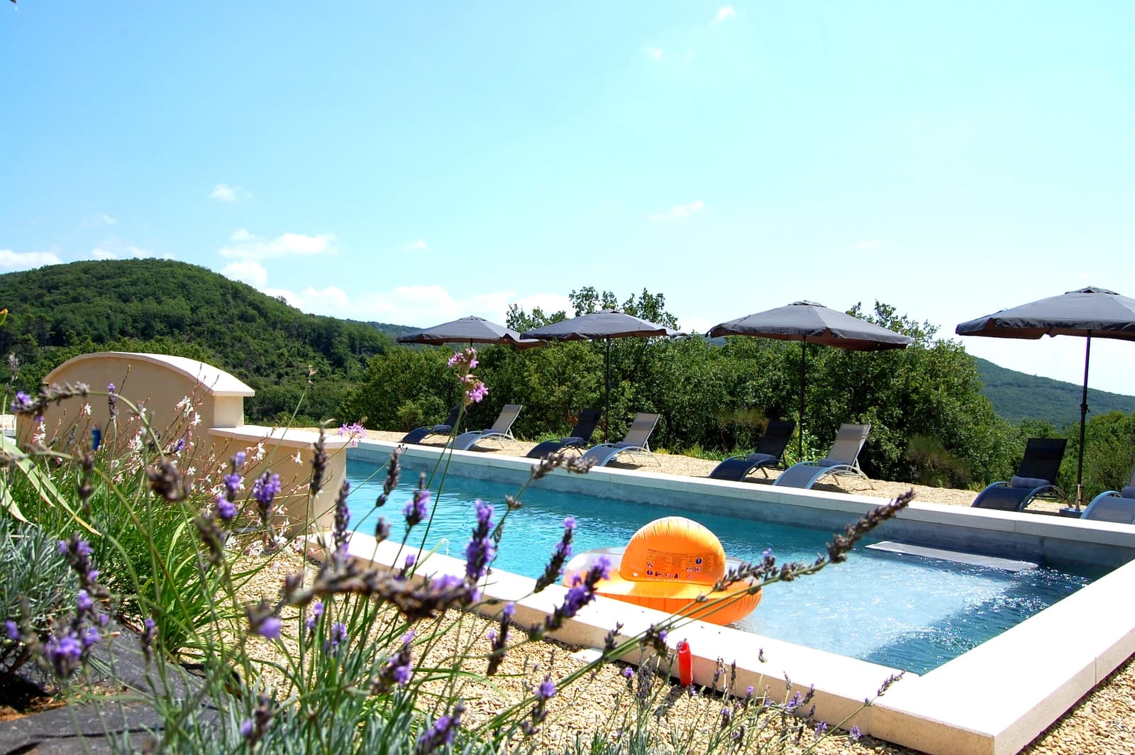 Espace Maison entre vignes et bois en Provence - 4