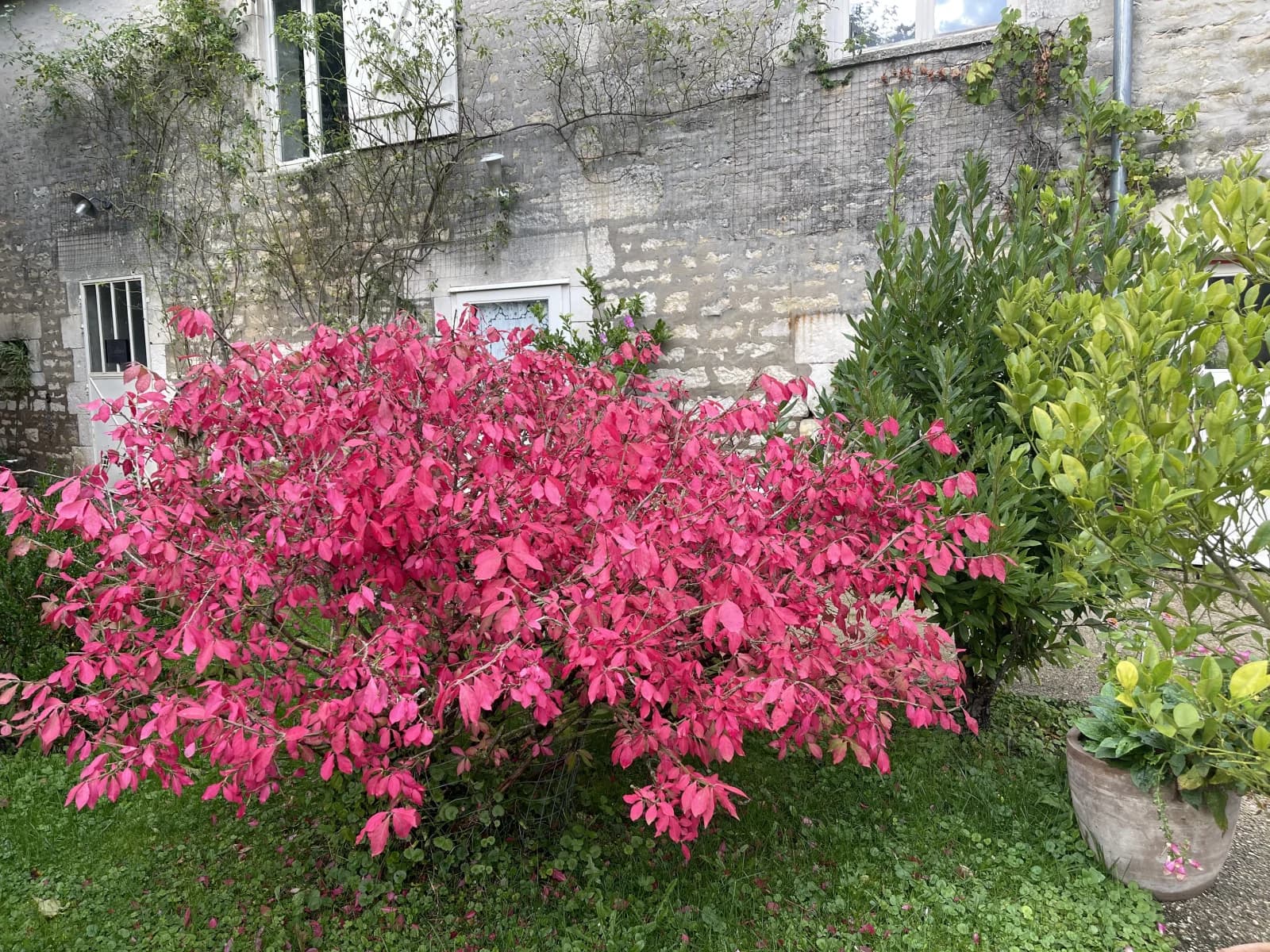Espace Les Champs  - 4