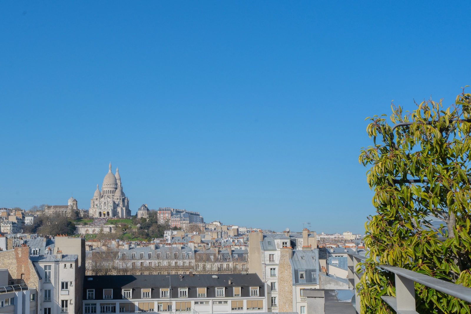 Space The Sanctuary of Parisian Rooftops - 3