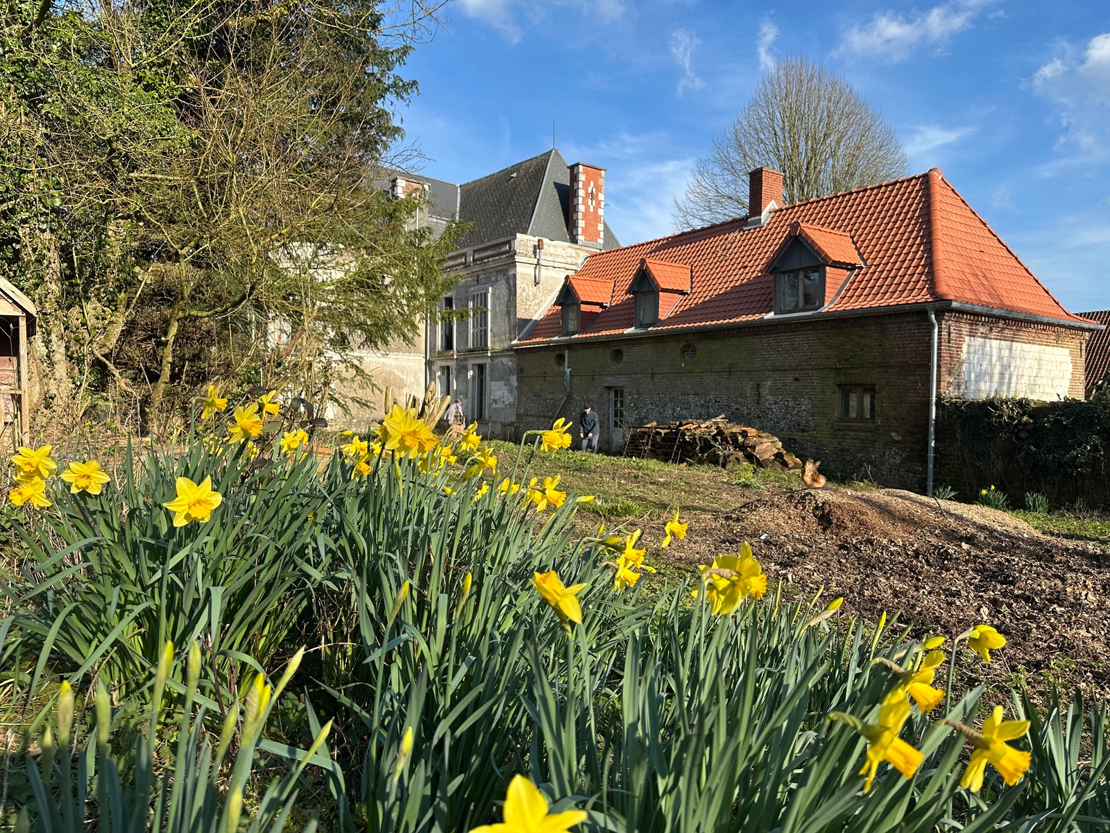 Space Castle undergoing renovations and 3 renovated holiday cottages - 1
