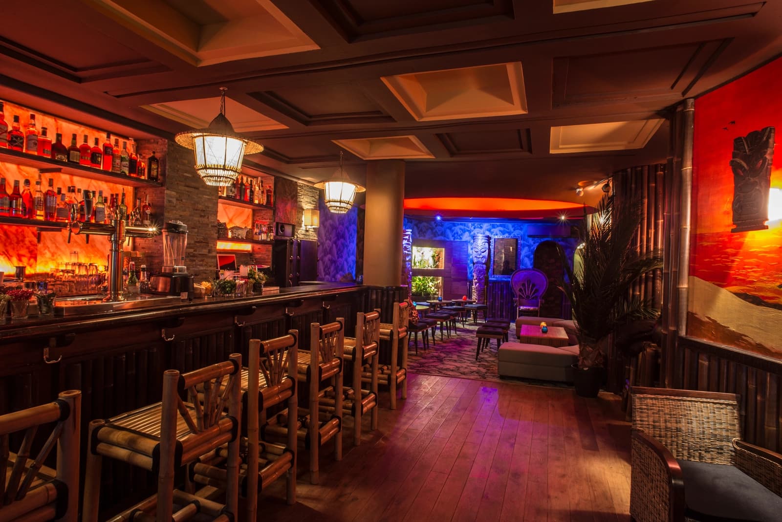 Espace Bar tropical immersif et cinématographique - 1