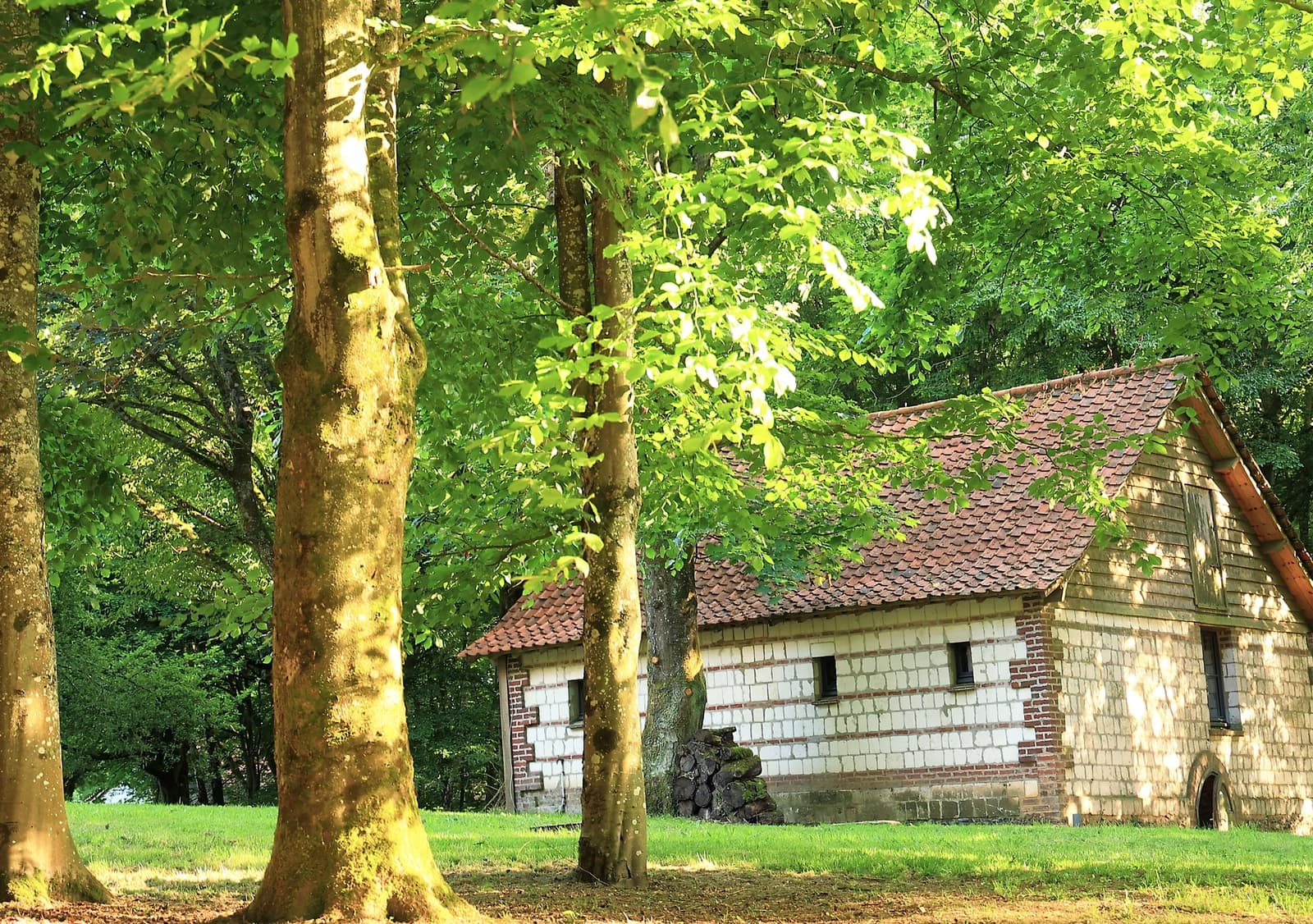 Meeting room in A historic estate nestled in the woods - 1