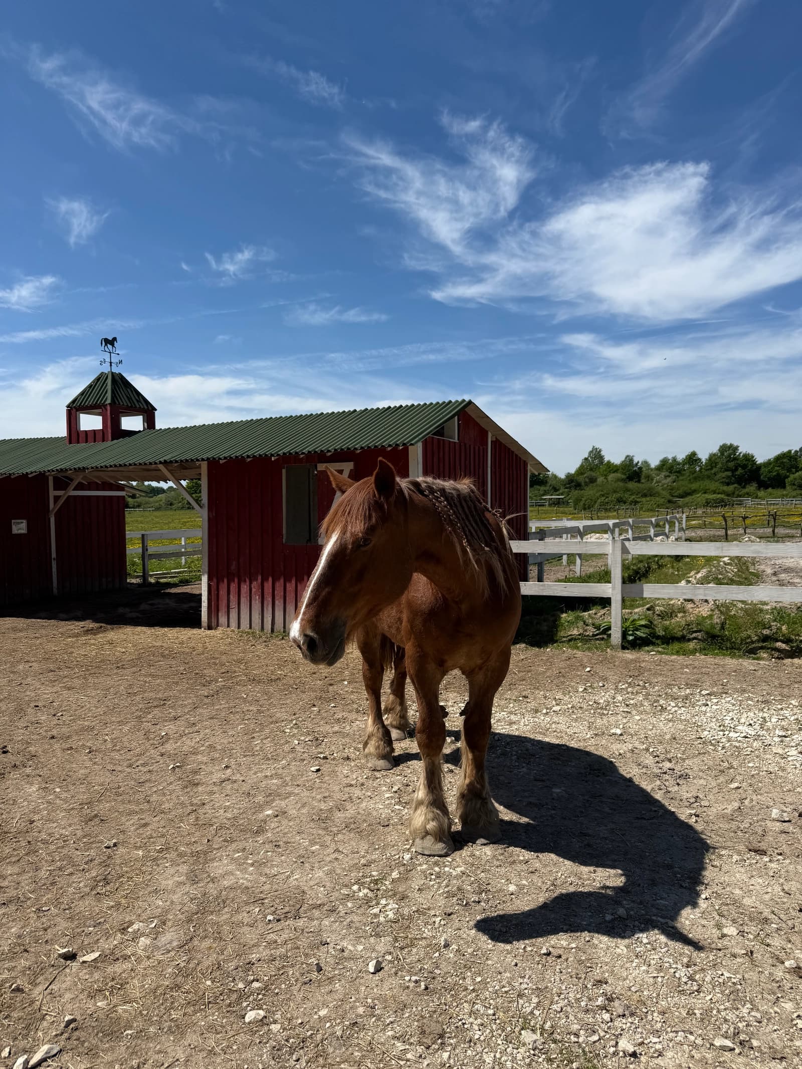 Espace Ranch Ecurie, ambiance Yellow Stone en Sologne - 0