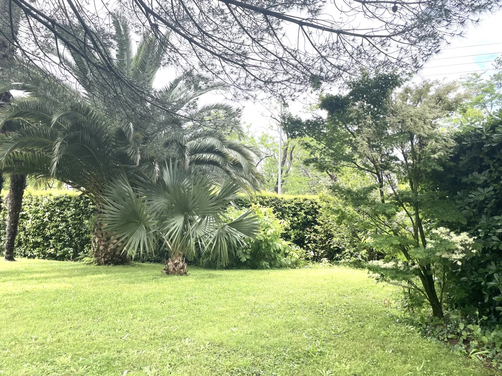 Space House in Biarritz (Lac Marion district) with large garden and swimming pool - 4