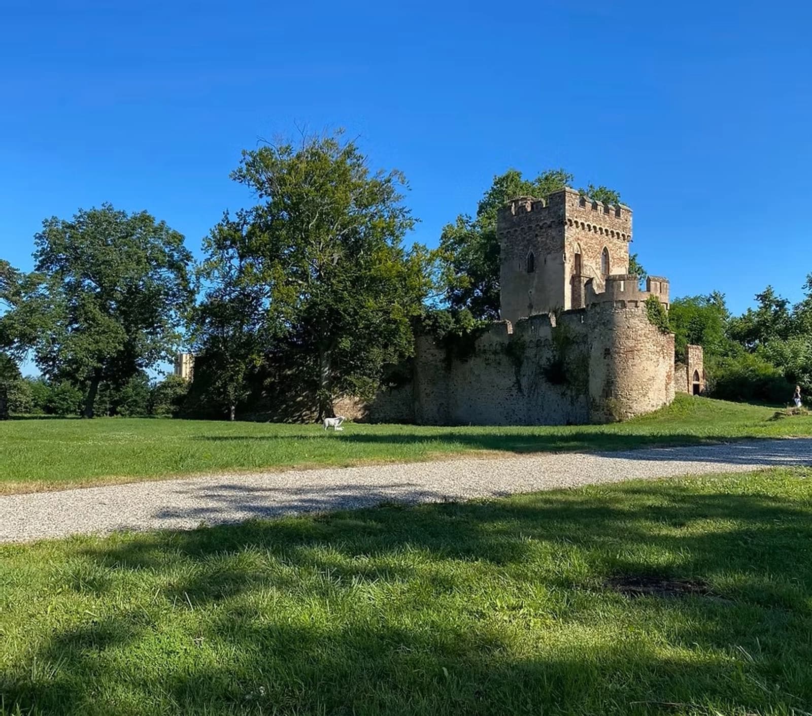 Espace Château de Niedernai - mille ans d'histoire, entre héritage médiéval et raffinement du XIXème - 3