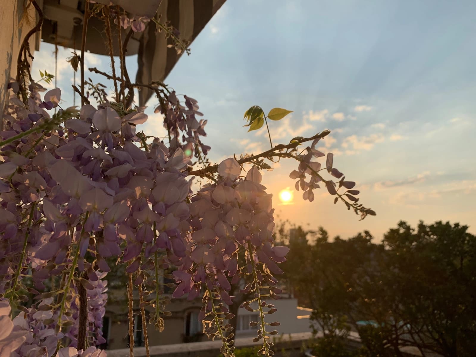 Comedor en Neuilly-sur-Seine: azotea con vistas a La Défense - 1